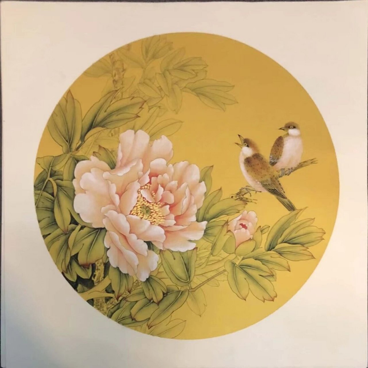 50*50圆形卡纸,国画工笔花鸟 工笔花鸟,小品