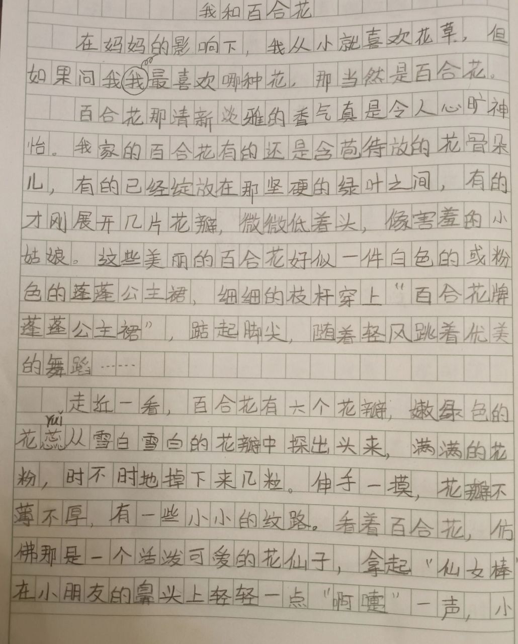 百合的样子怎么写图片