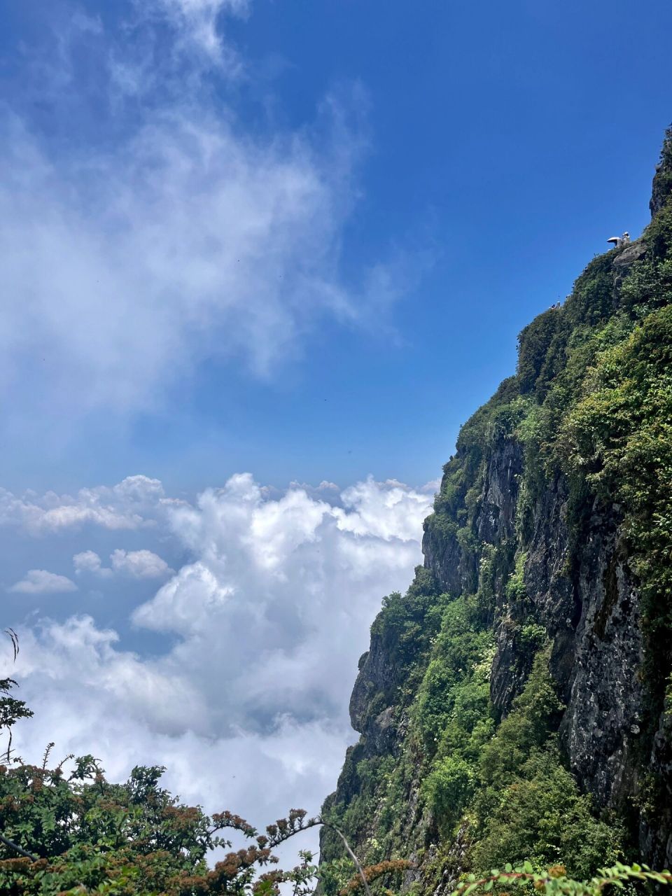 峨眉山一日游|超适合在夏天爬山的地方!