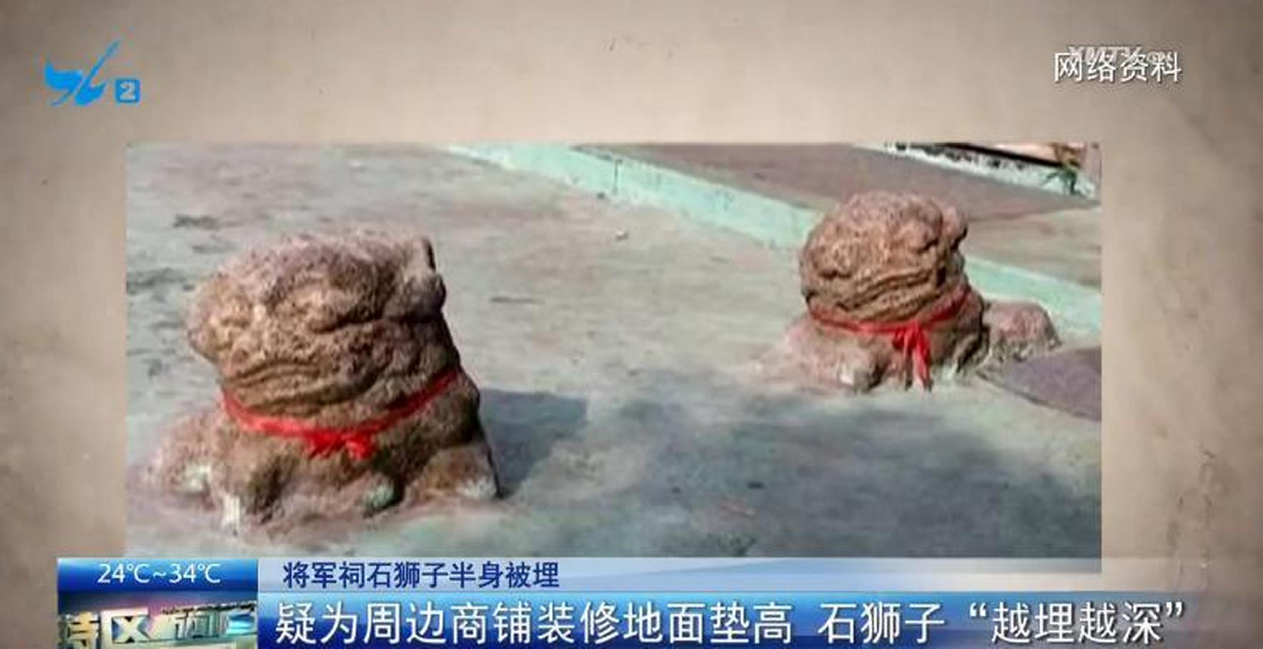 【厦门将军祠石狮子半身被埋:疑为周边商铺装修地面垫高 石狮子"越埋