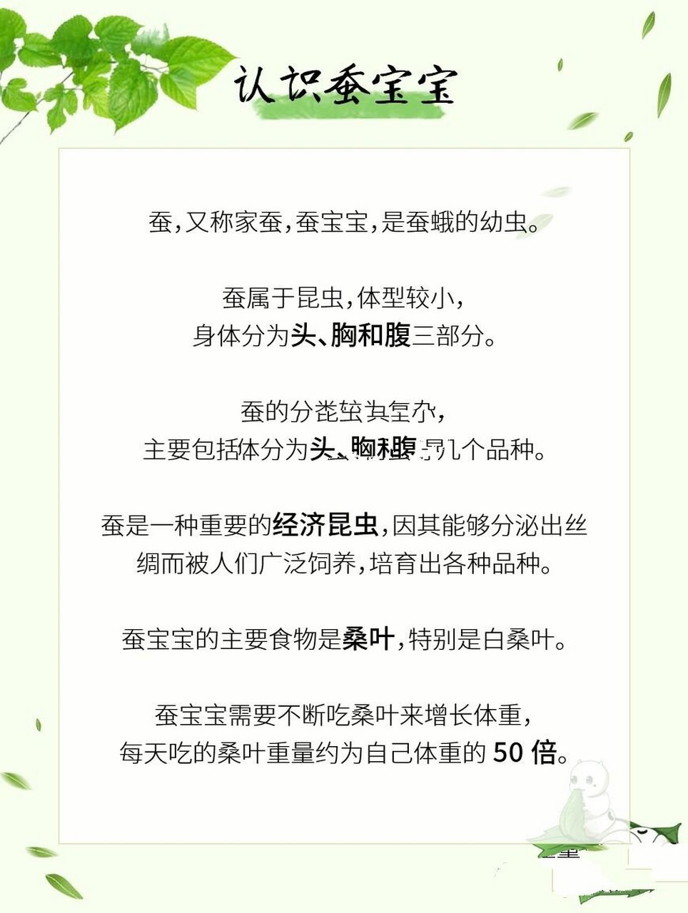 给孩子讲讲有关蚕宝宝的相关知识|自然科普  1661595认识蚕宝宝