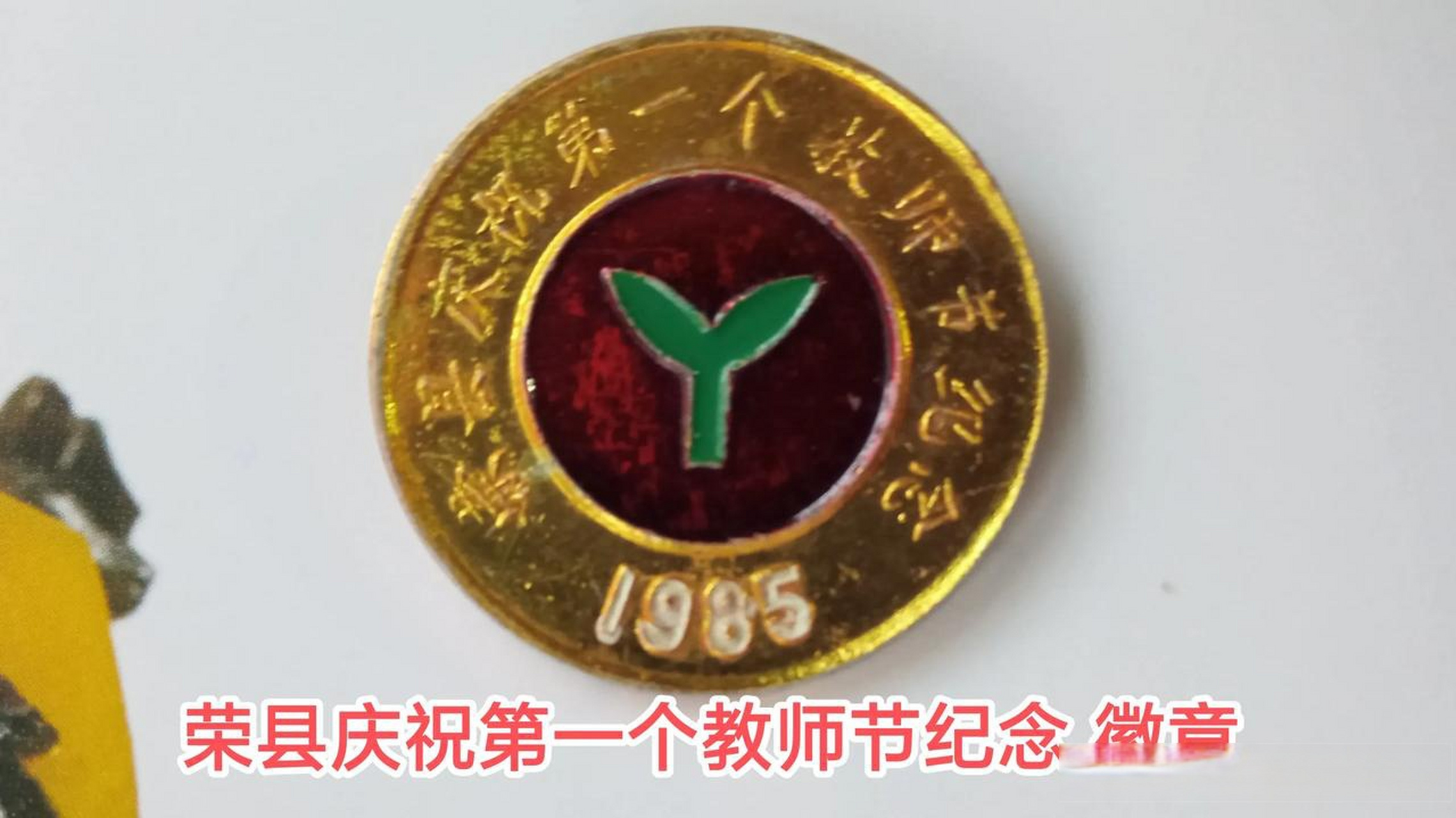 有没有那么一刻让你幡然醒悟每年教师节来临,我的心就拔凉拔凉的