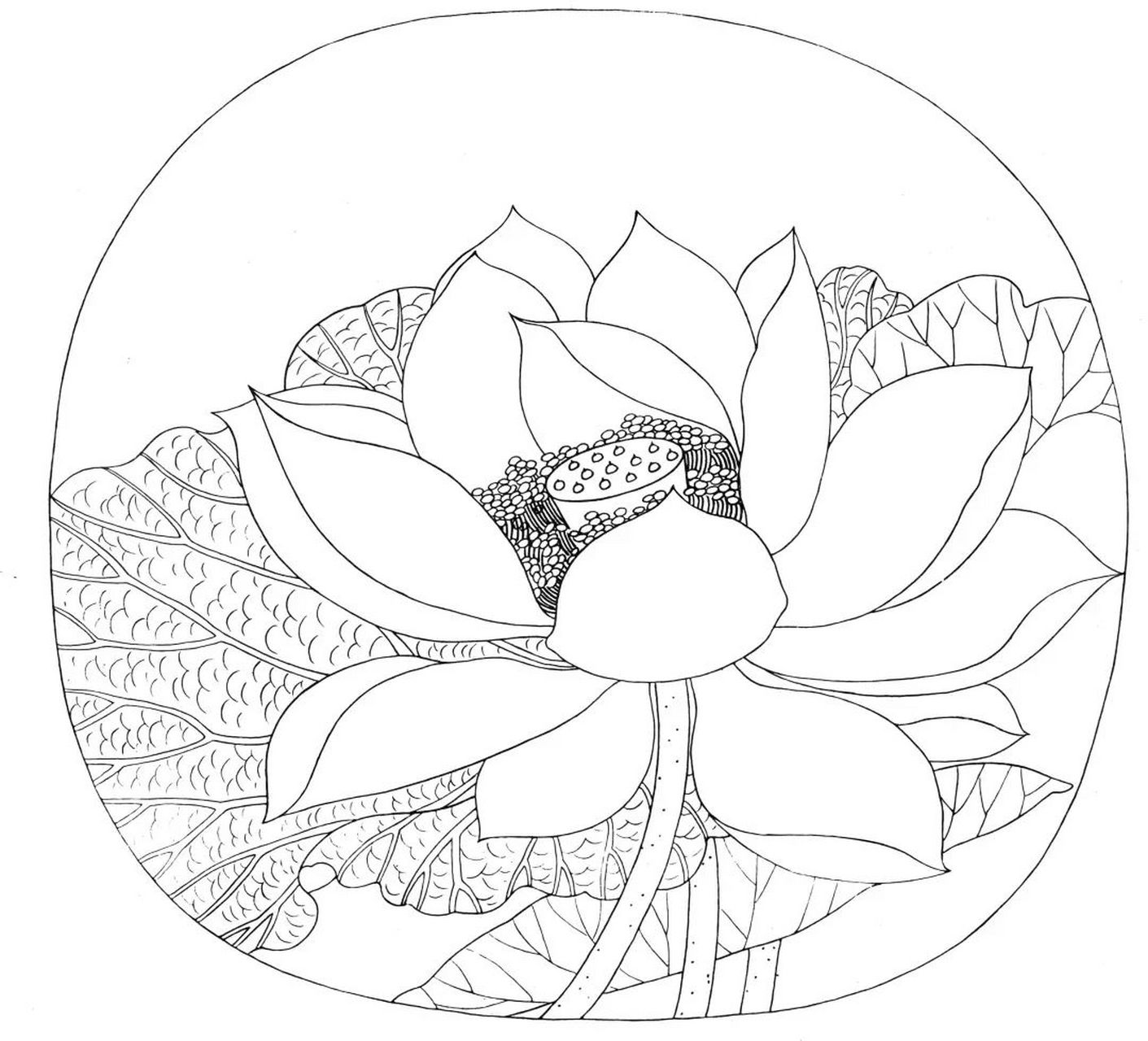 工笔画完全自学手册(八)《出水芙蓉图》 出水芙蓉图 吴炳(传) 绢本 原