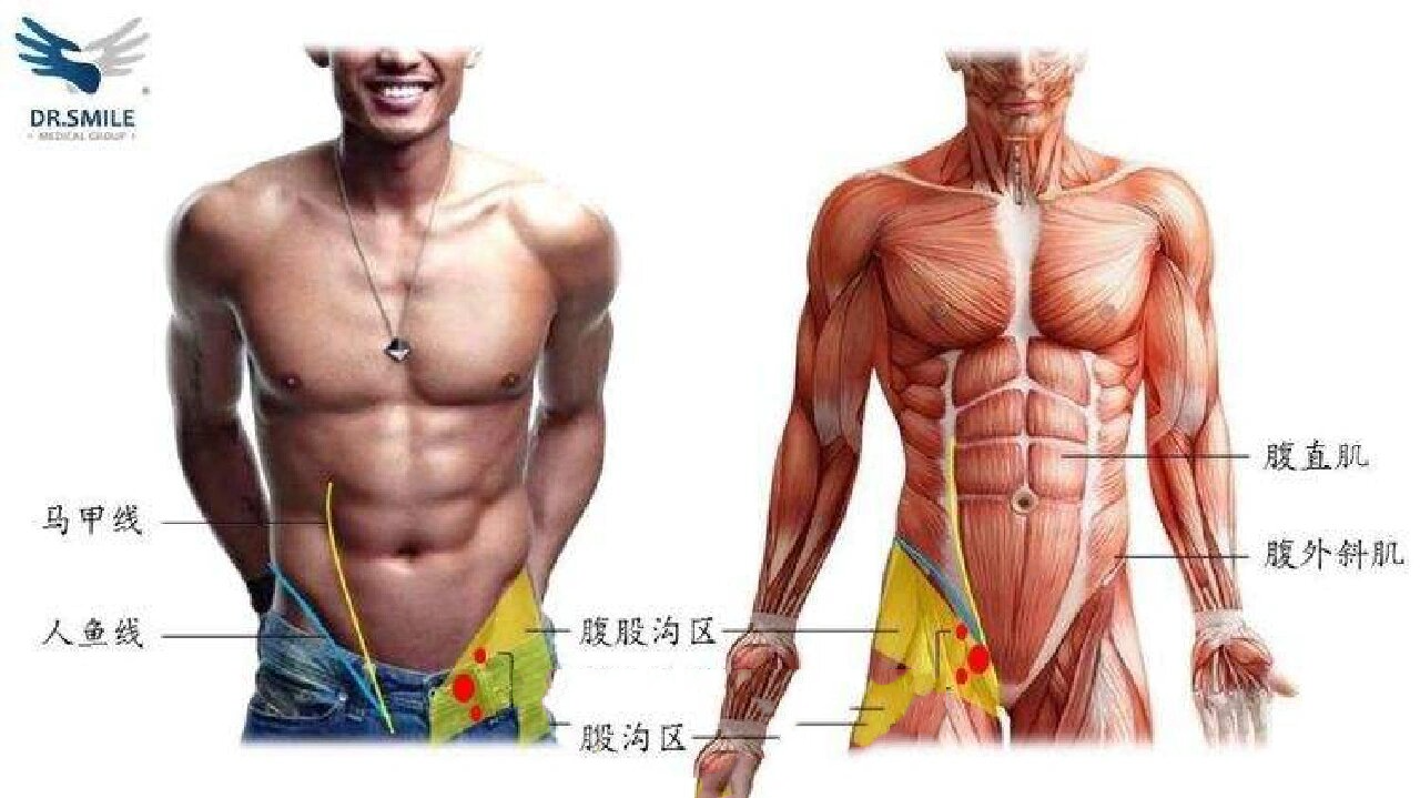 【预防前列腺疾病的穴位】 【如何预防前列腺疾病】 按摩位置:揉腹股