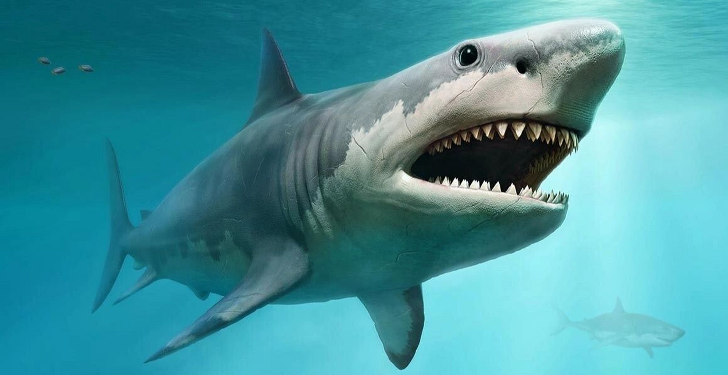 史前巨鲨大揭秘:巨齿鲨的前世今生(上) 今天介绍一种充满神秘感的史前