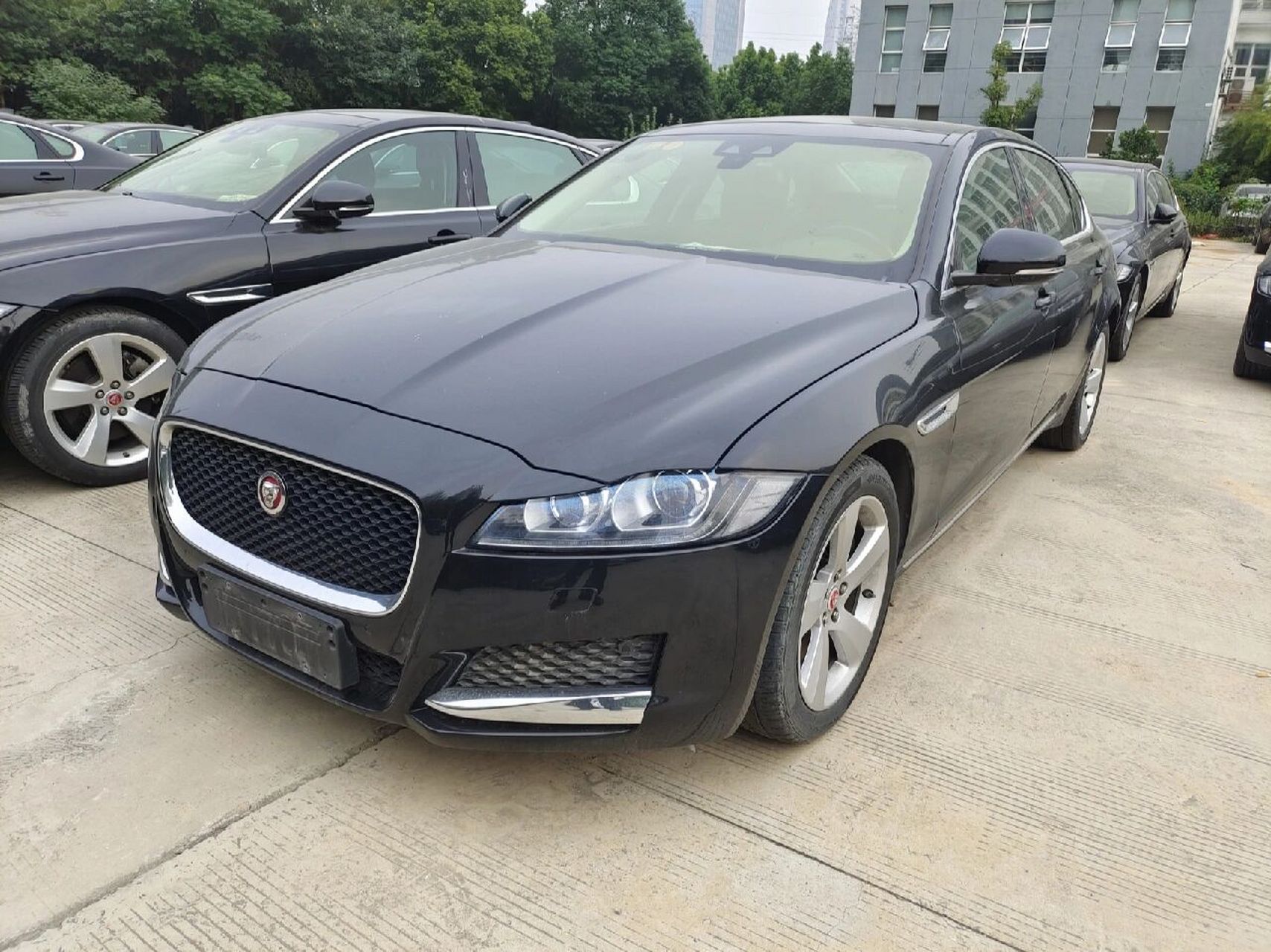 38万 没买到沃尔沃s90的客户看过来 安徽合肥,新下50台2019年捷豹xfl