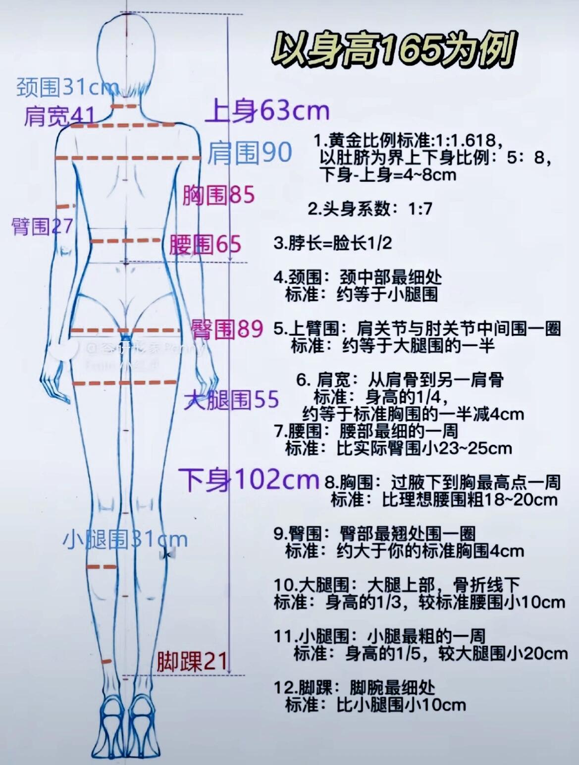如何正确的测量三围