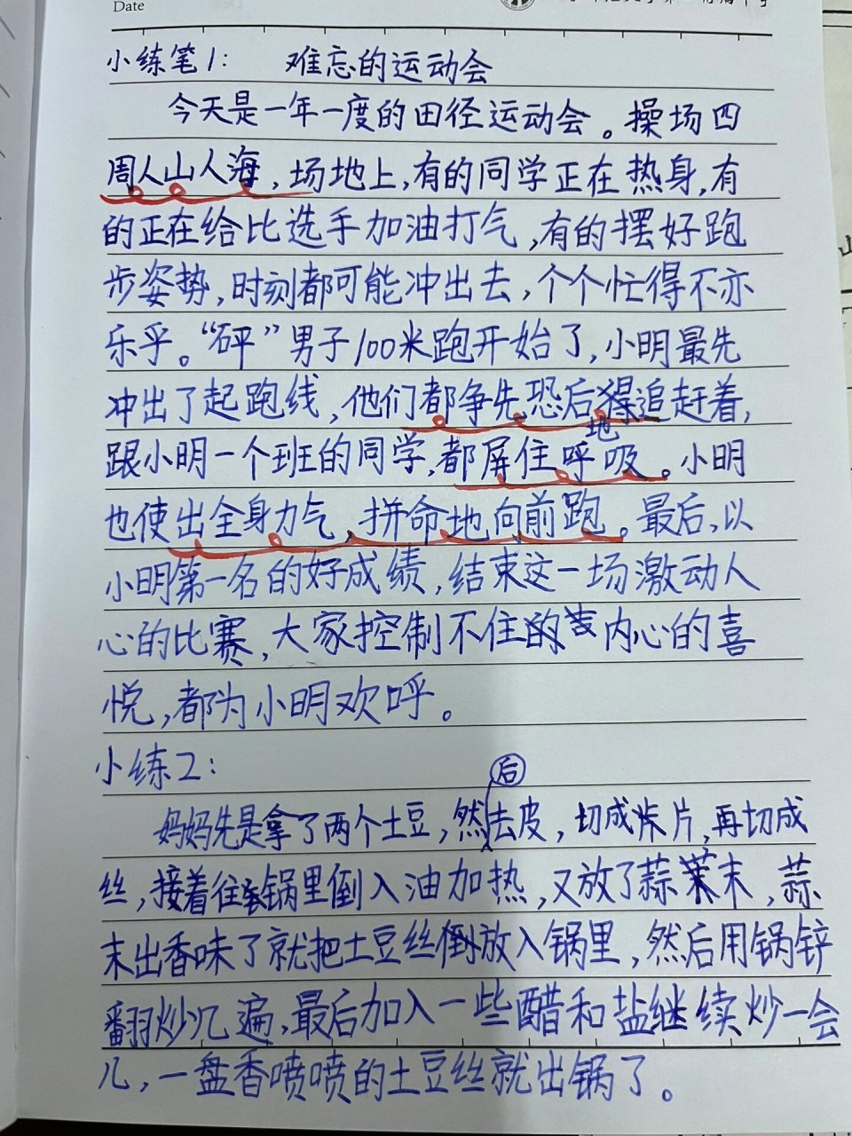 小练笔5号图片