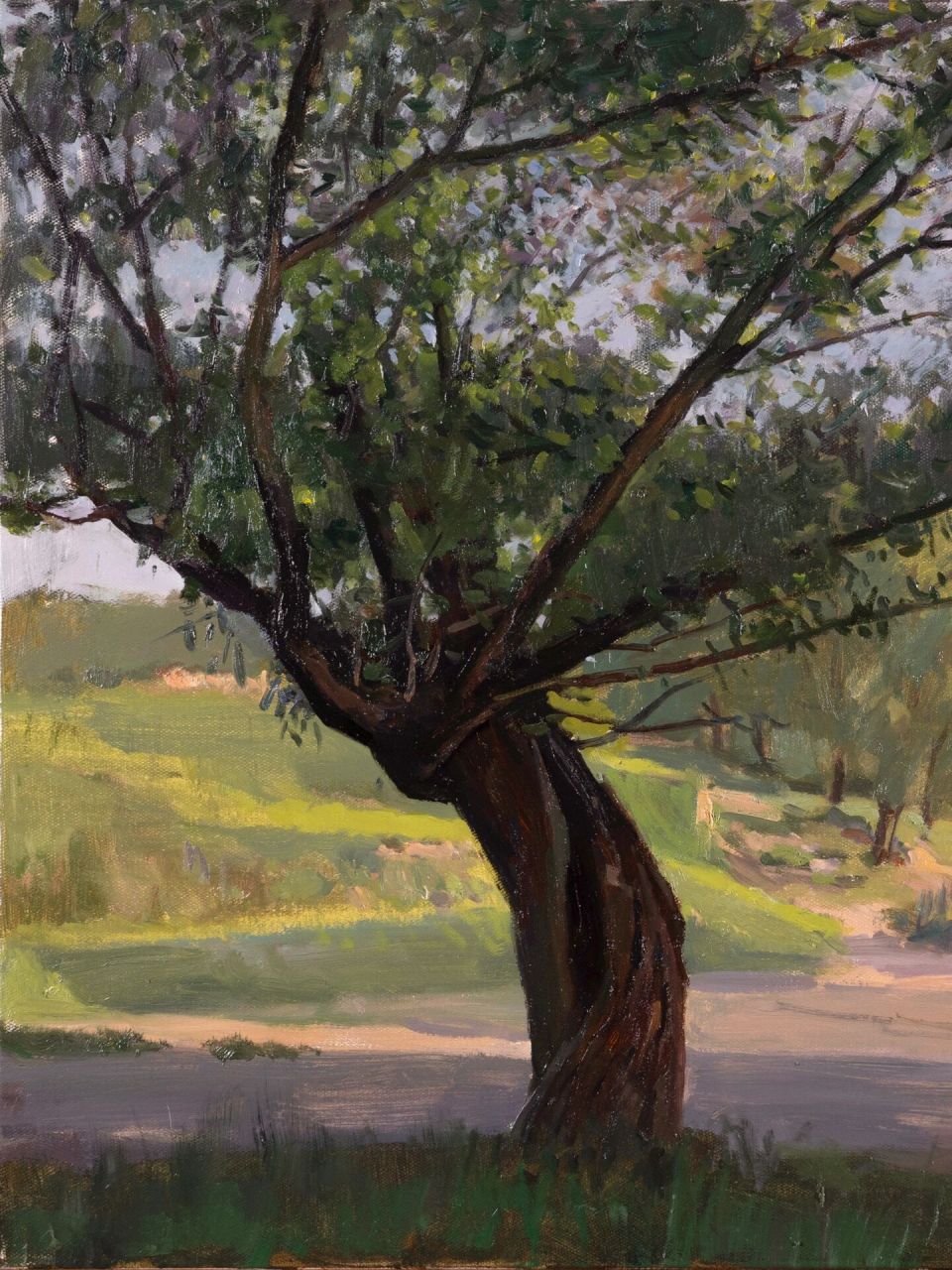 旱柳 油画风景写生 60x80cm 作于宁夏固原