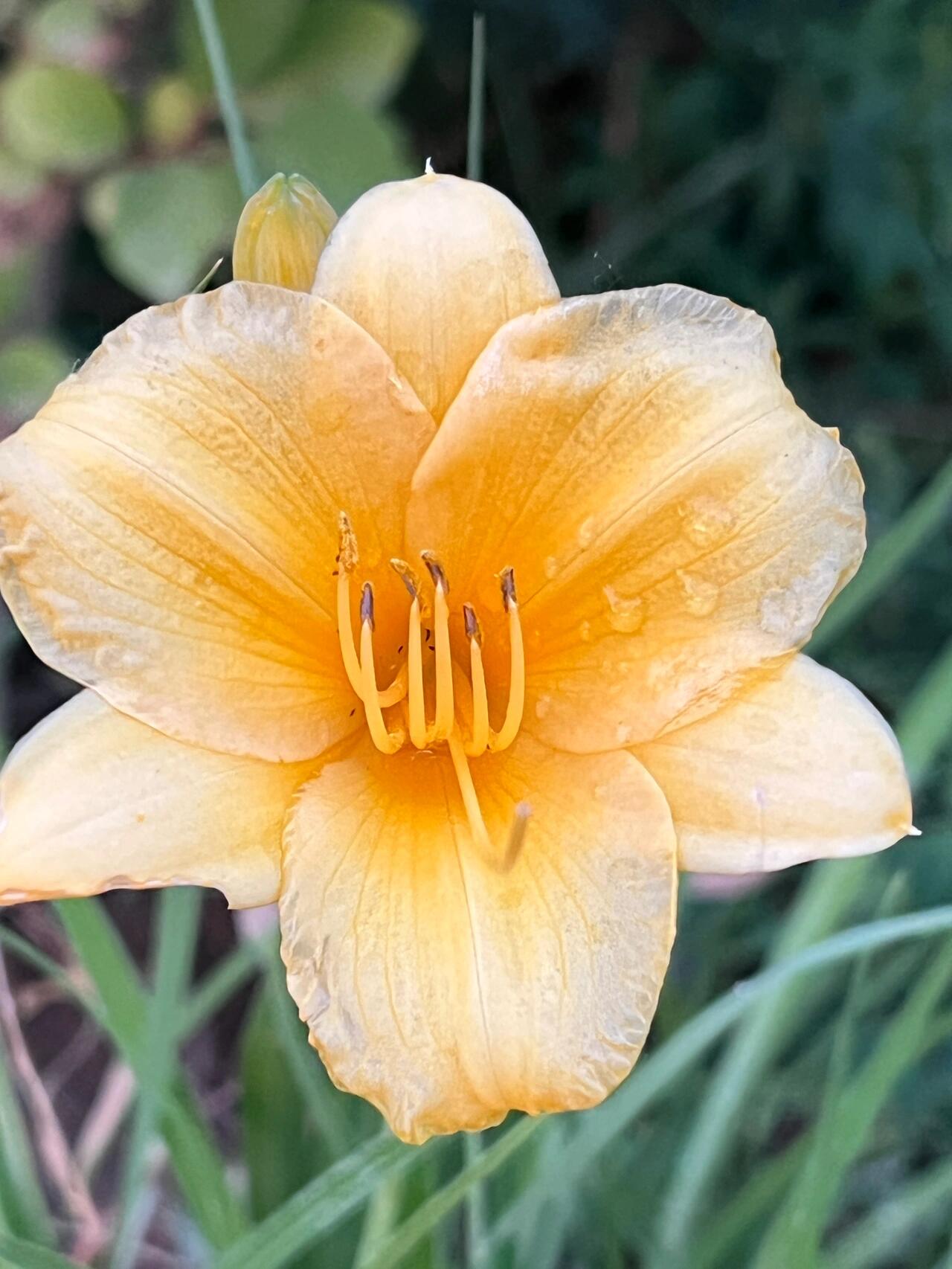 1280_1706竖版 竖屏