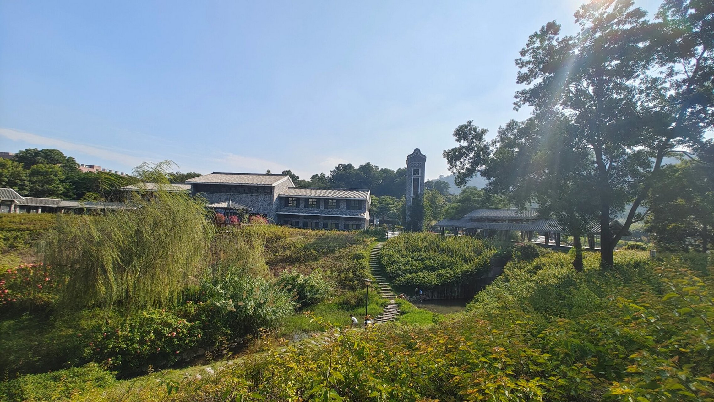 簕杜鹃谷公园太美啦 簕杜鹃谷公园,在凤凰山的脚下,辽阔的草坪,绽放的