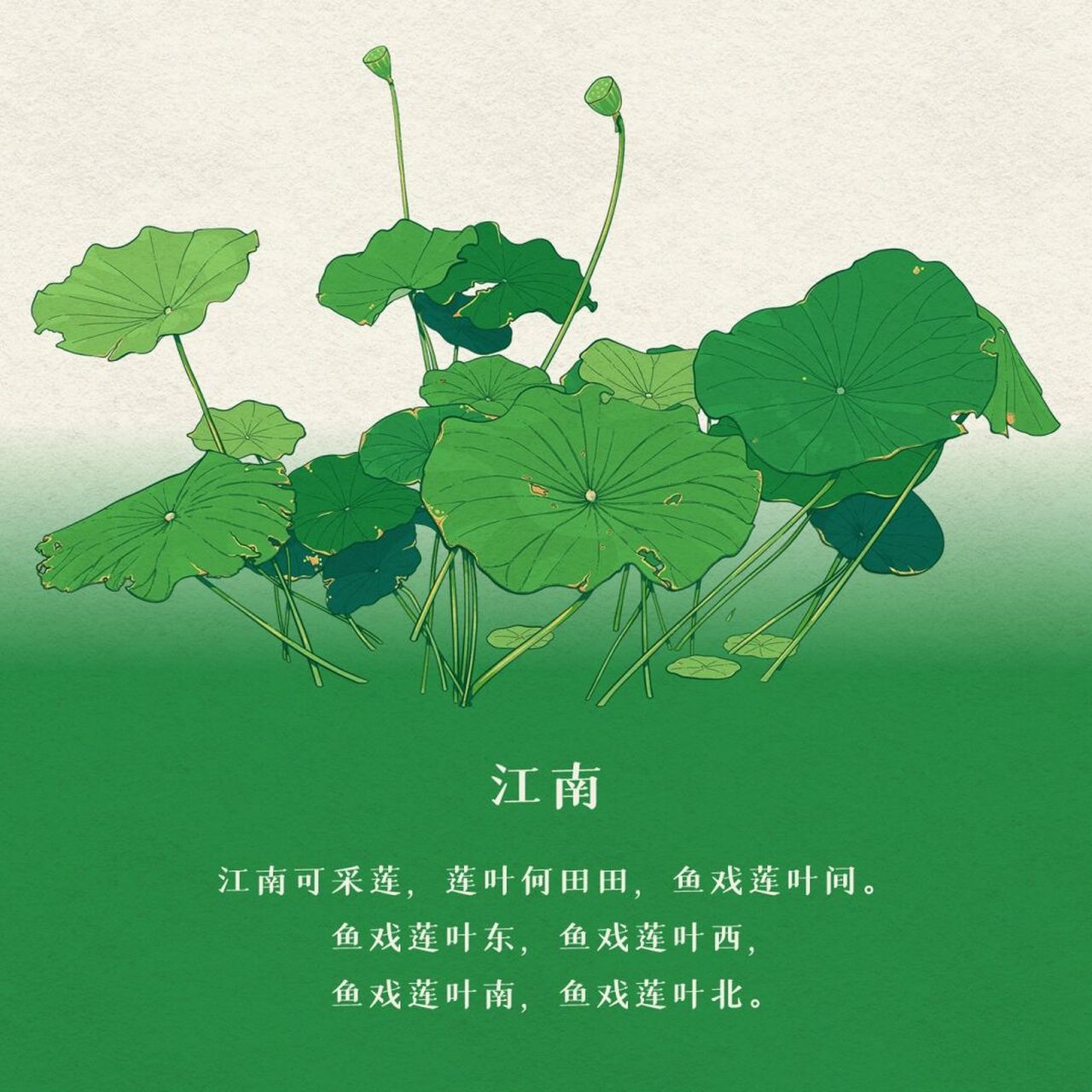 每日一画画|莲叶何田田 10/100 写荷叶莲花的诗词很多,这句朴实的"