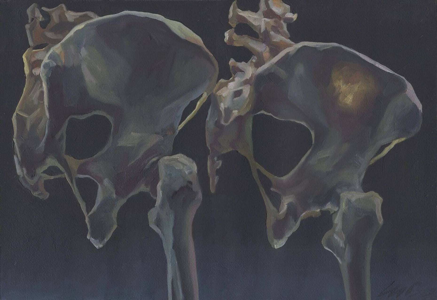 世界的起源 用写实手法描绘出一对男人和女人的骨盆(可看作是亚当和