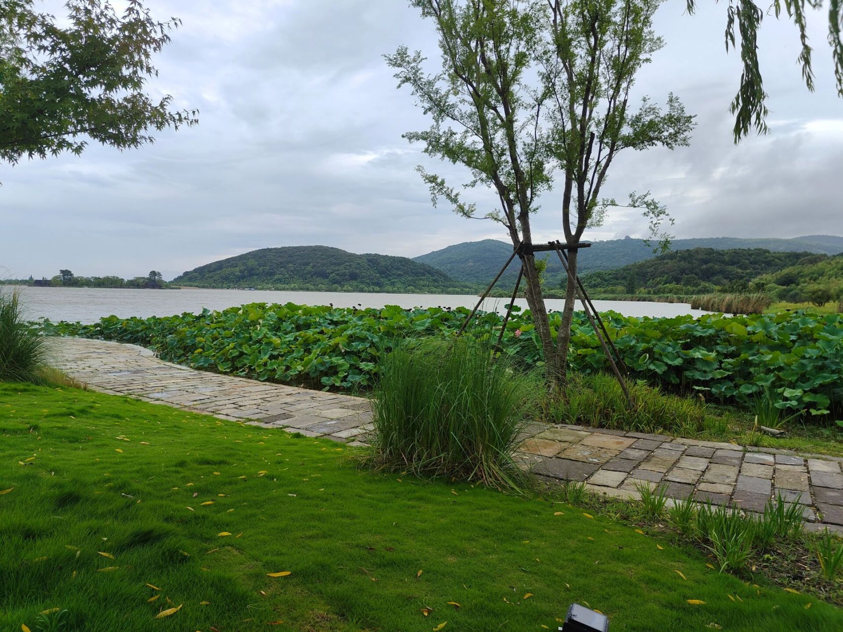 嘉兴海盐南北湖景区游记 7月29日临时决定要去的,离杭州也近,湖景尚可
