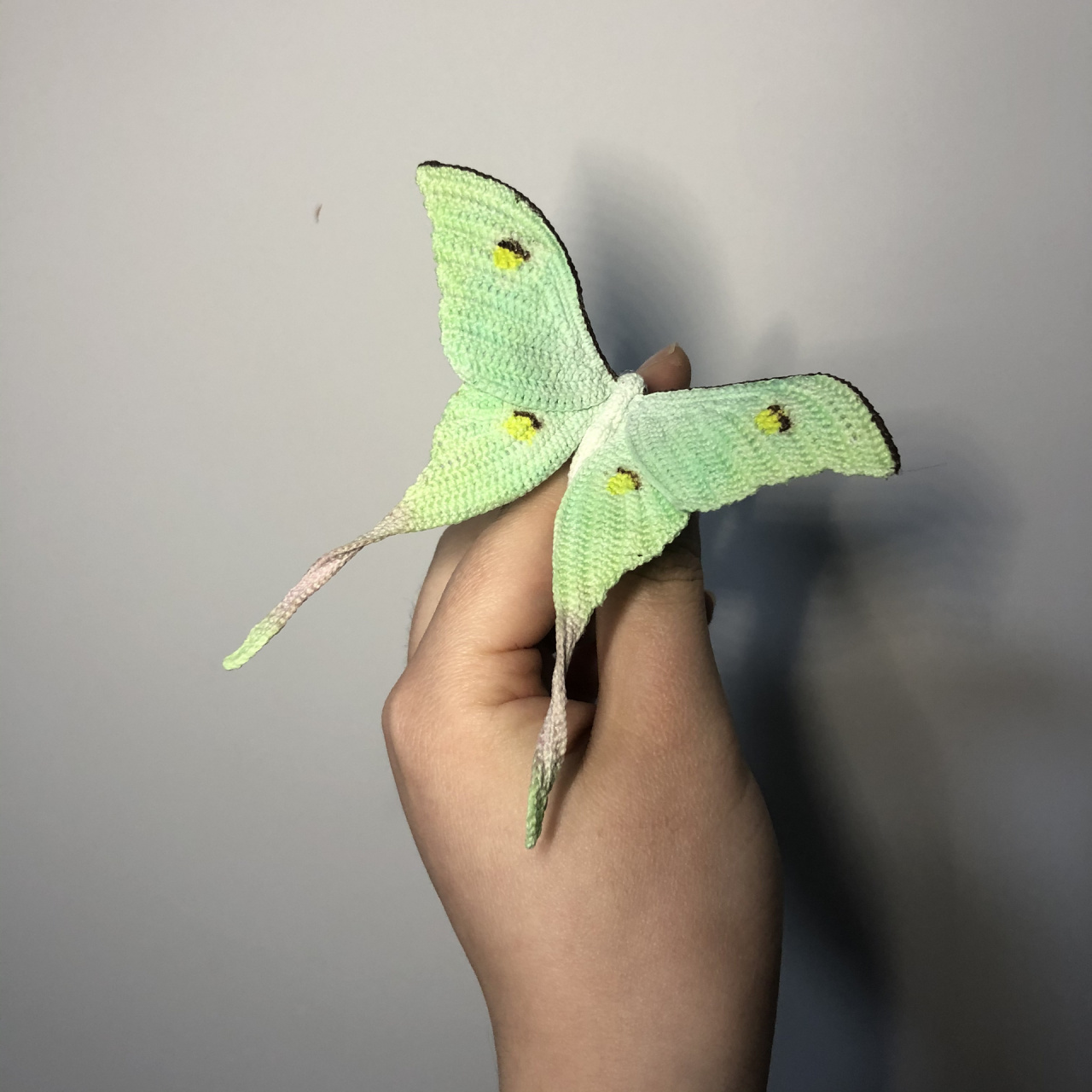 微钩蝴蝶 绿尾大蚕蛾 编织【钩针图解】 线材:苏苏姐家8号蕾丝纯白