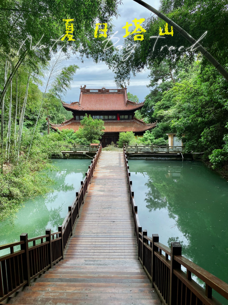 义乌小众景点|塔山|0元90玩天然森林氧吧98 0299义乌超美公园
