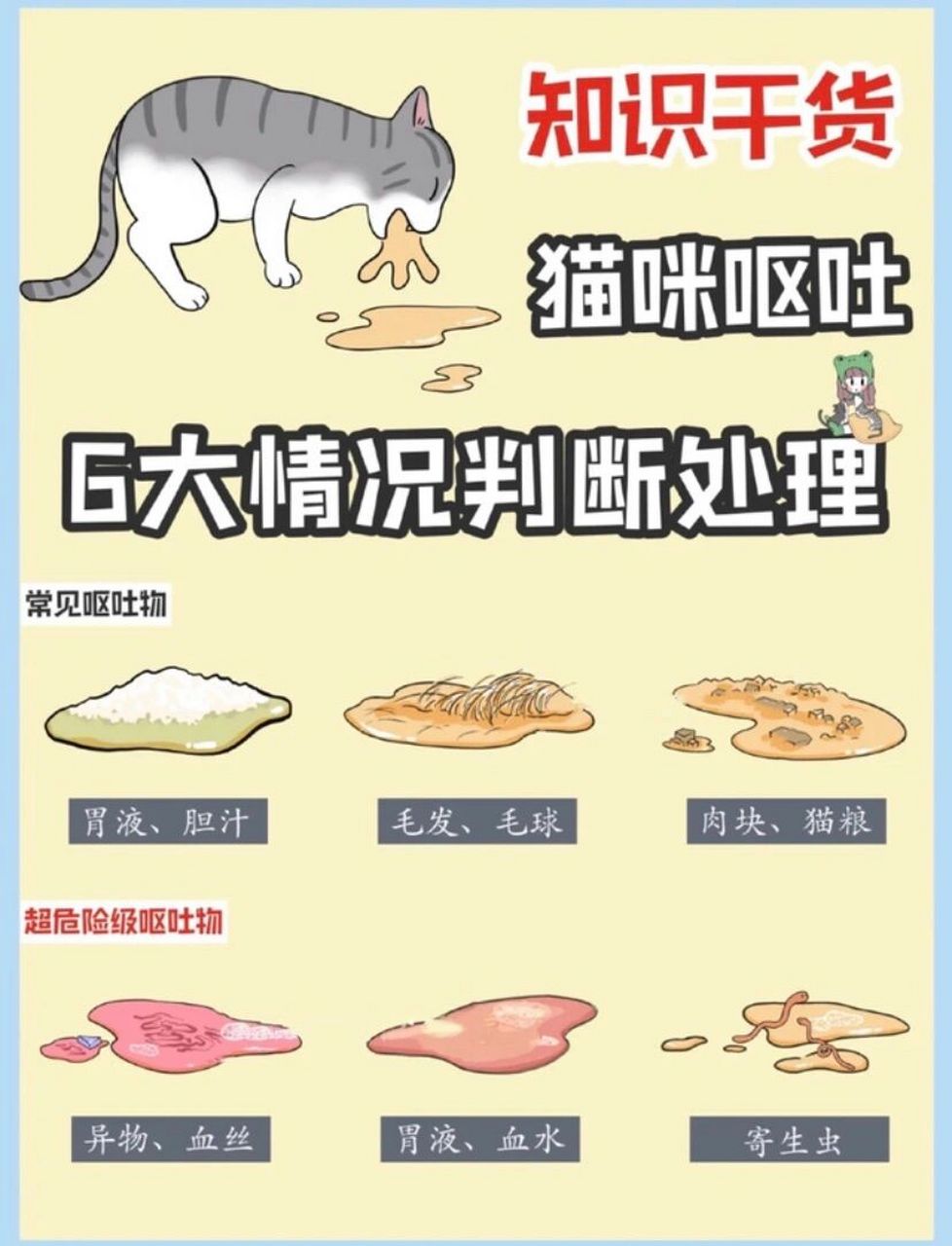猫咪呕吐怎么回事?