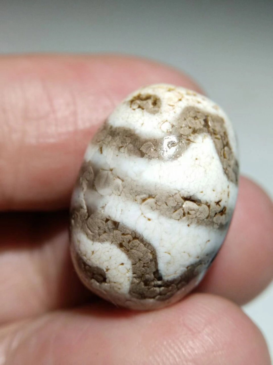 高油润藏传火供钙化至纯达洛虎牙莲花天珠,通体白化白芯,泌色唯美老味