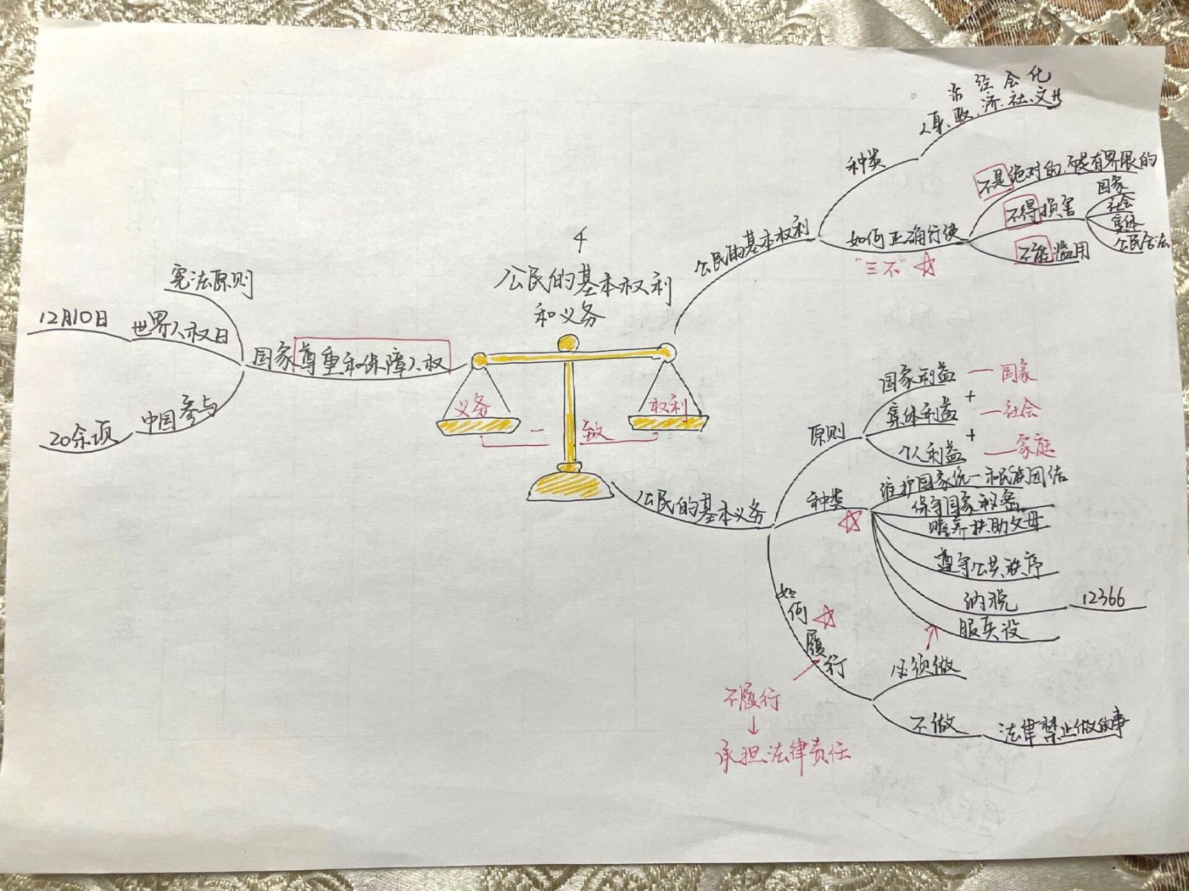 二年级道法思维导图图片