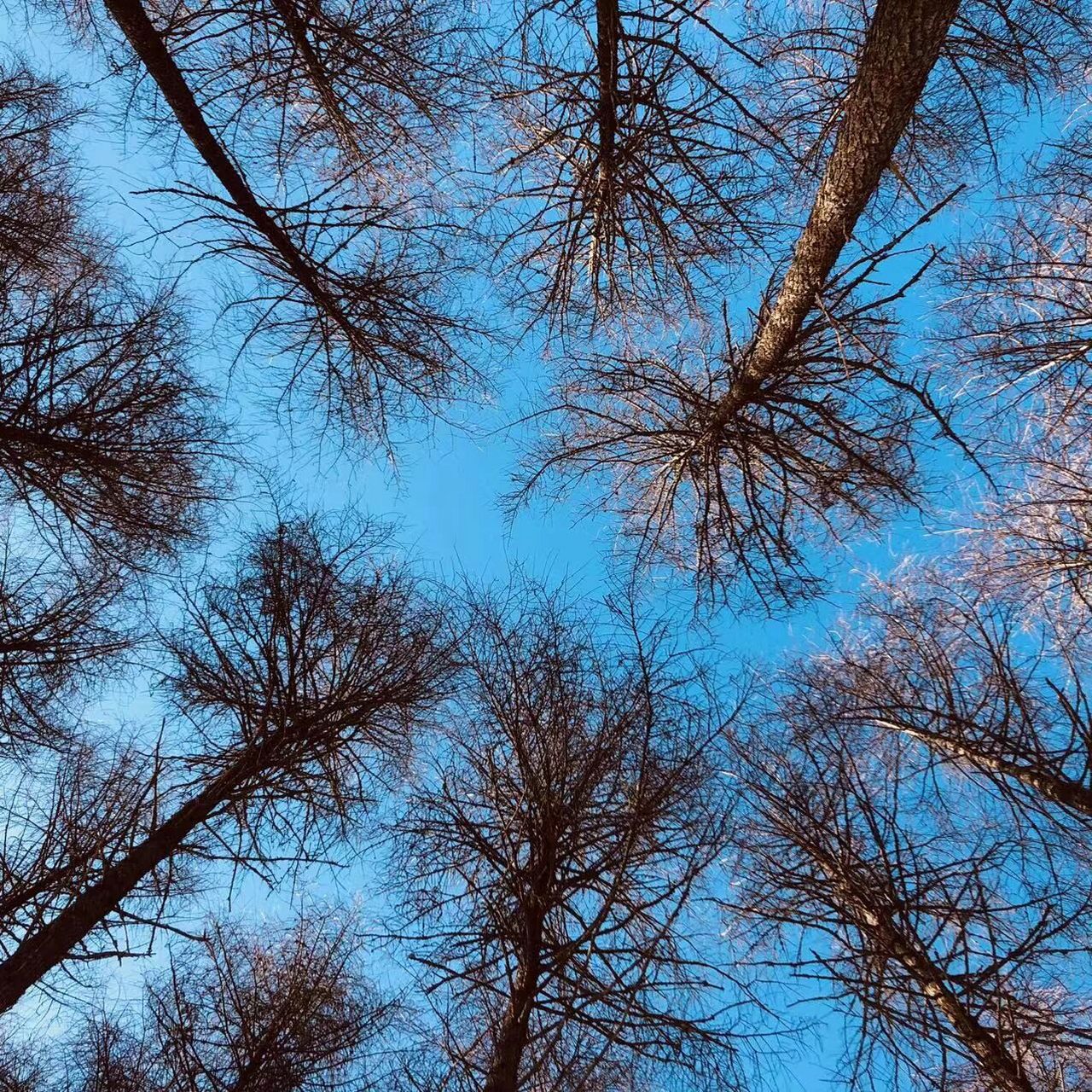 神木垒旅游攻略|探秘神仙玩耍的地方98 98神木垒,在藏语里的意思