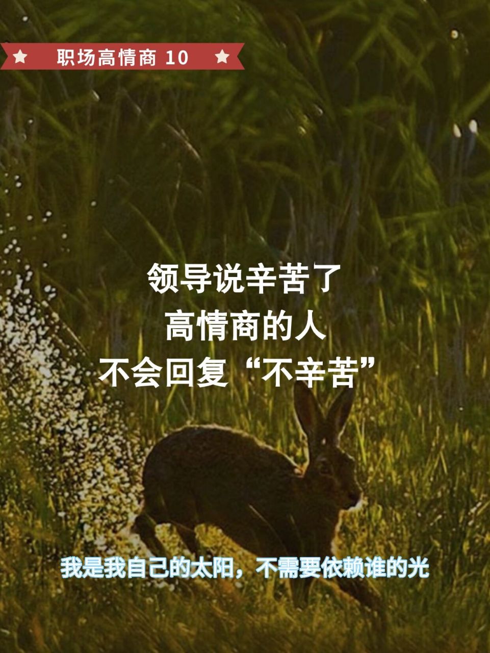 领导说辛苦了,高情商不会回复"不辛苦" 千万别说"没事,不辛苦" 你这样