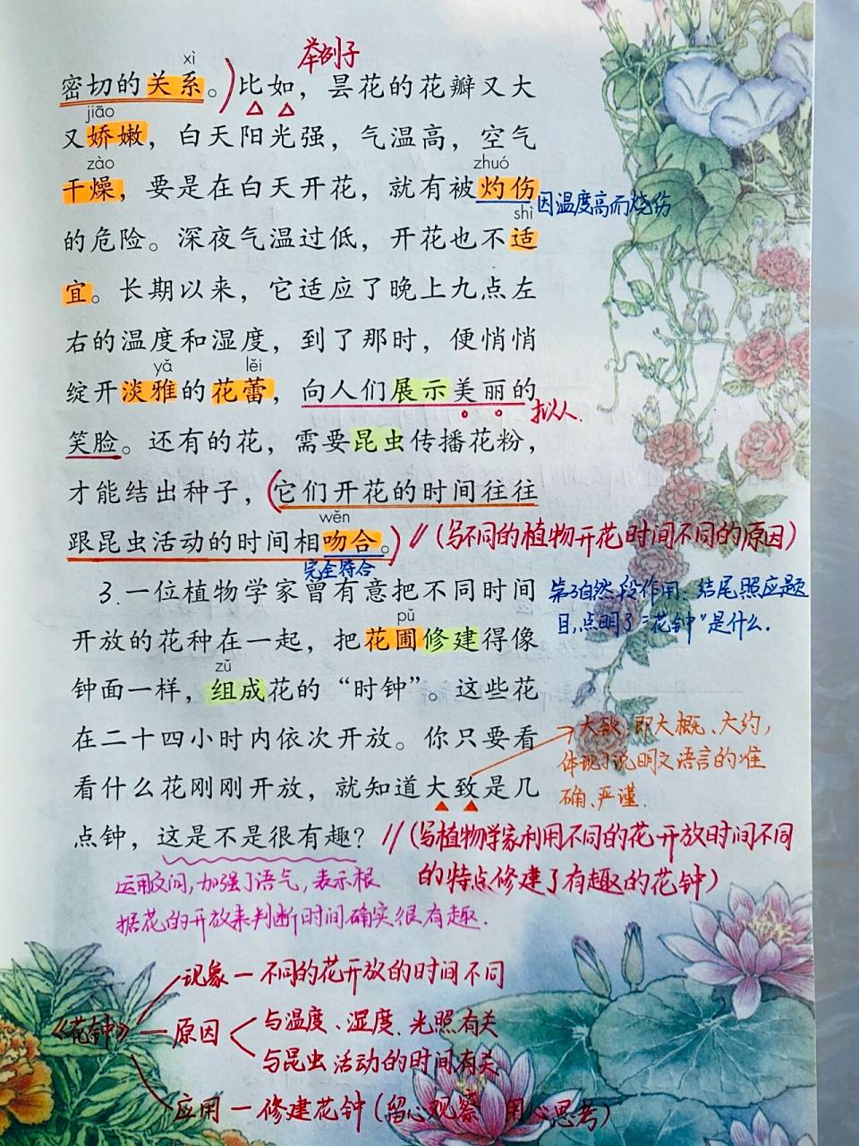 三年级下册语文 第13课《花钟》笔记