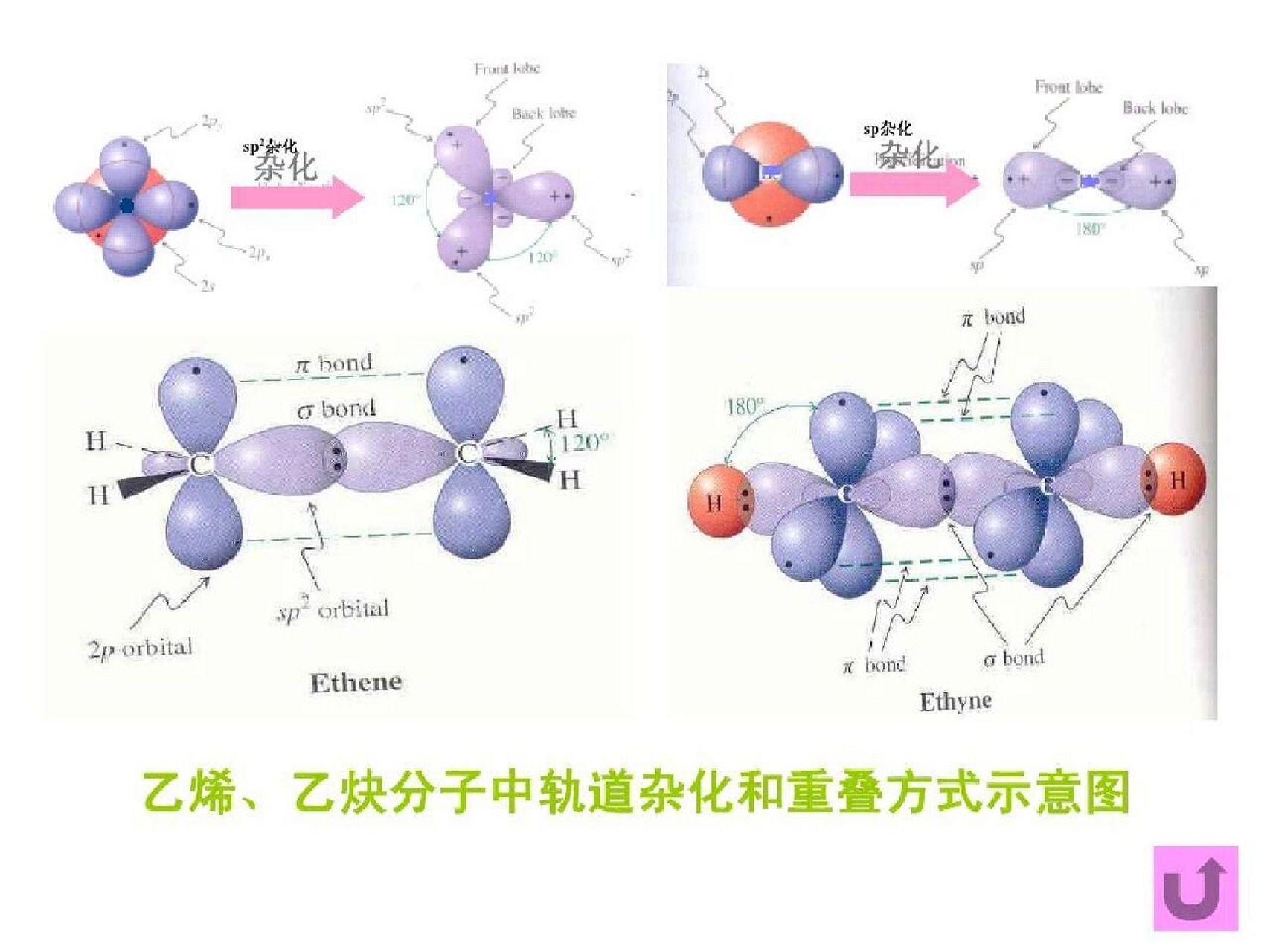 sp轨道杂化示意图图片