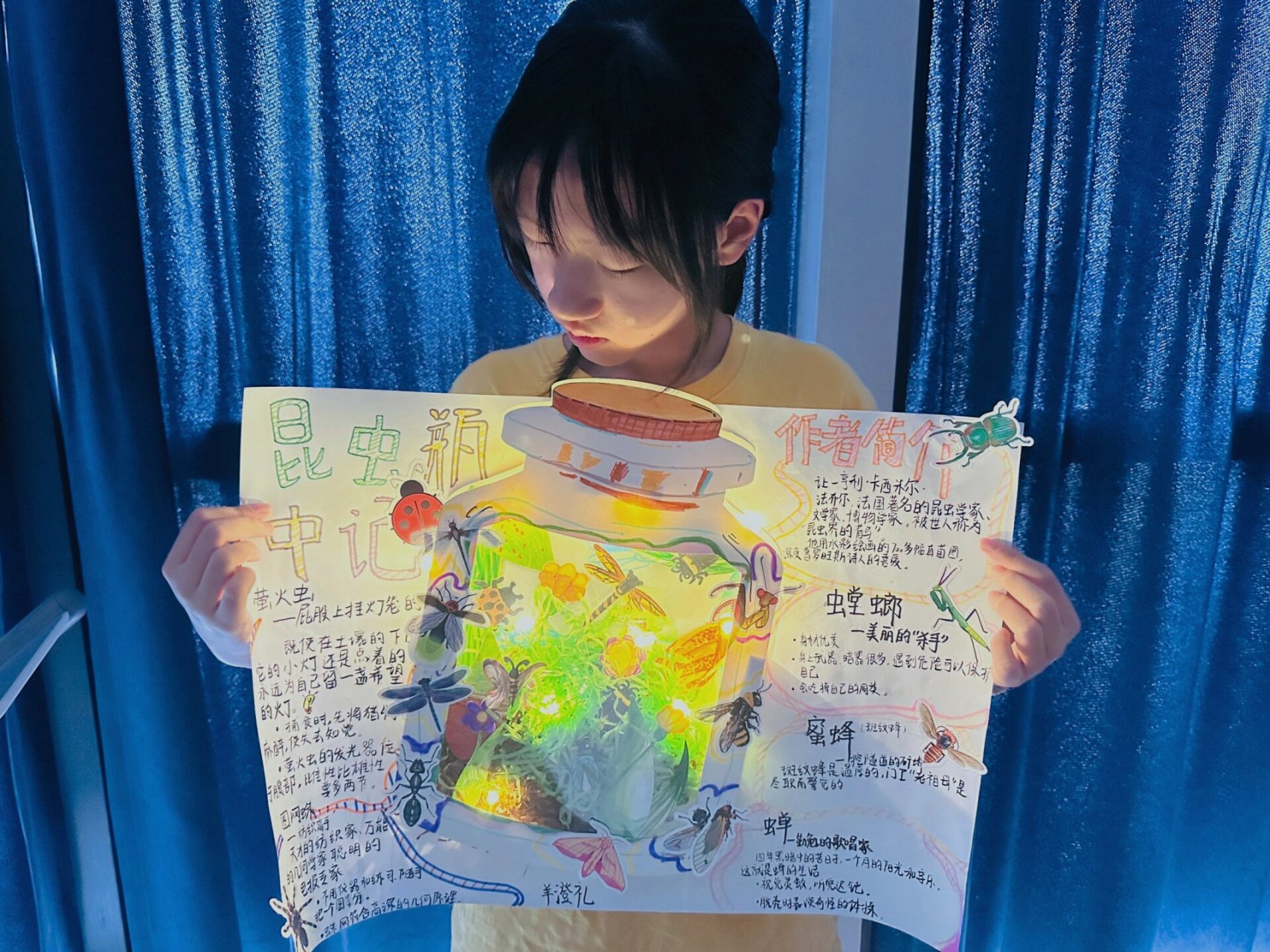 《昆虫记》小报分享