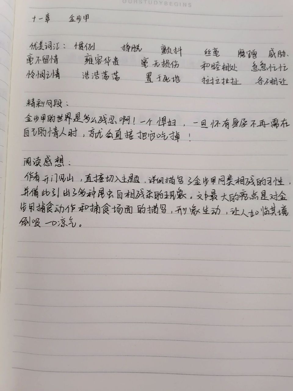 《昆虫记》读书笔记11～15章 字写的较少,并非原创,喜欢作者的话可以