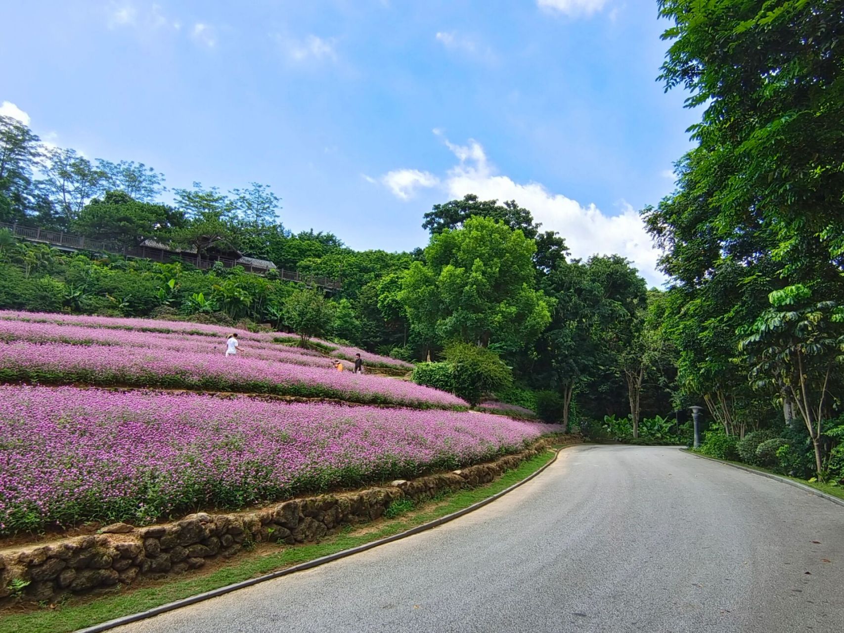 南宁|青秀山一瞥 青秀山是到南宁旅游的必到景点,景区位于南宁市