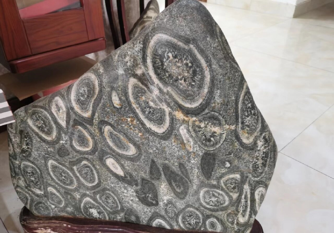 泰山金钱石 泰山石原石,金钱石仅此一块