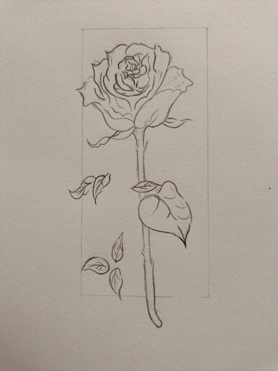 临摹简笔画玫瑰花,到底是哪一步没跟上 大佬说上课累了可以画这个,我