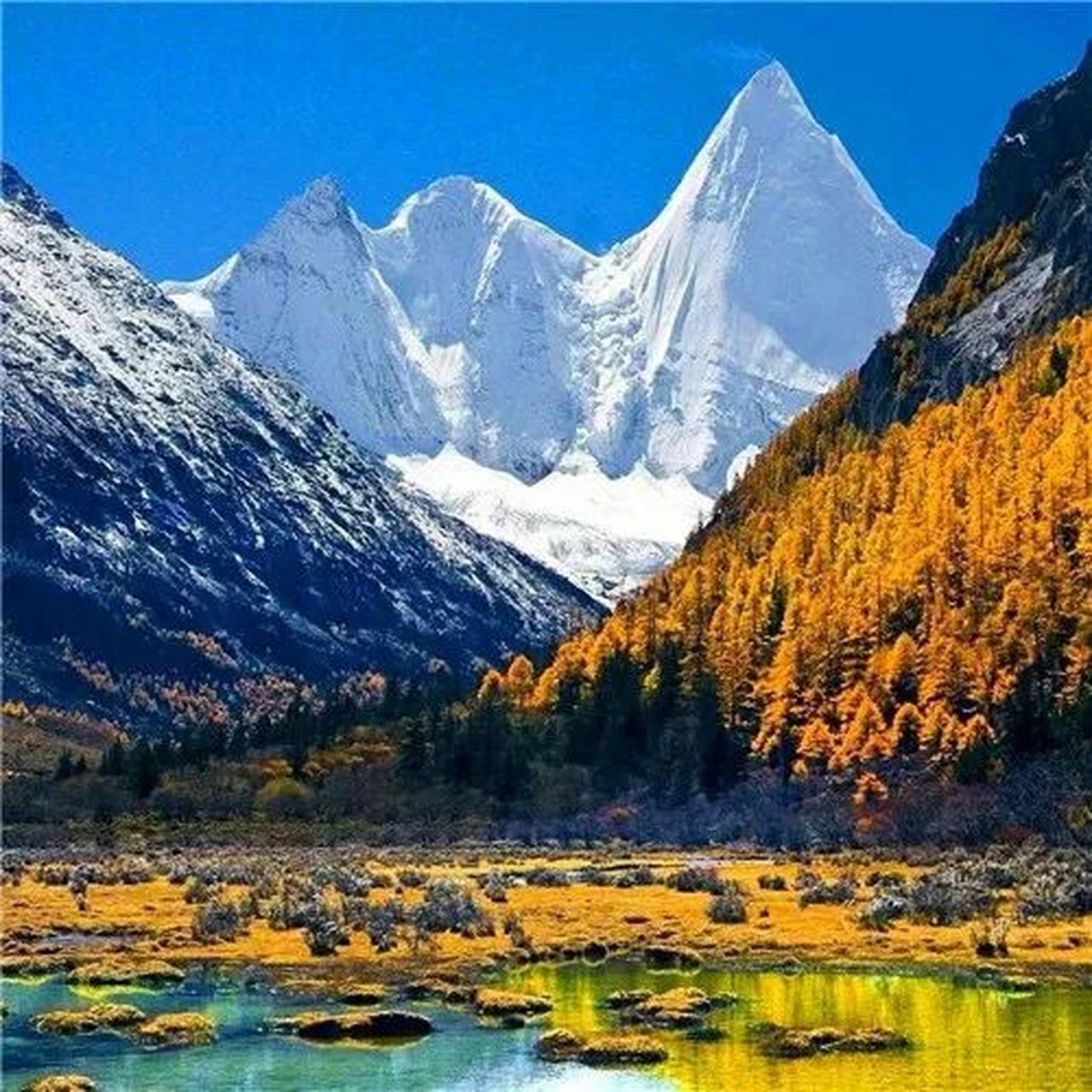 适合年龄大的头像 中老年人专属微信头像,快来看看吧 羡慕从不盲目