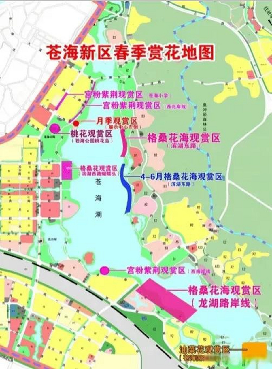 梧州苍海新区:春日浪漫花海,满眼皆是美景 广西头条  梧州头条  头条