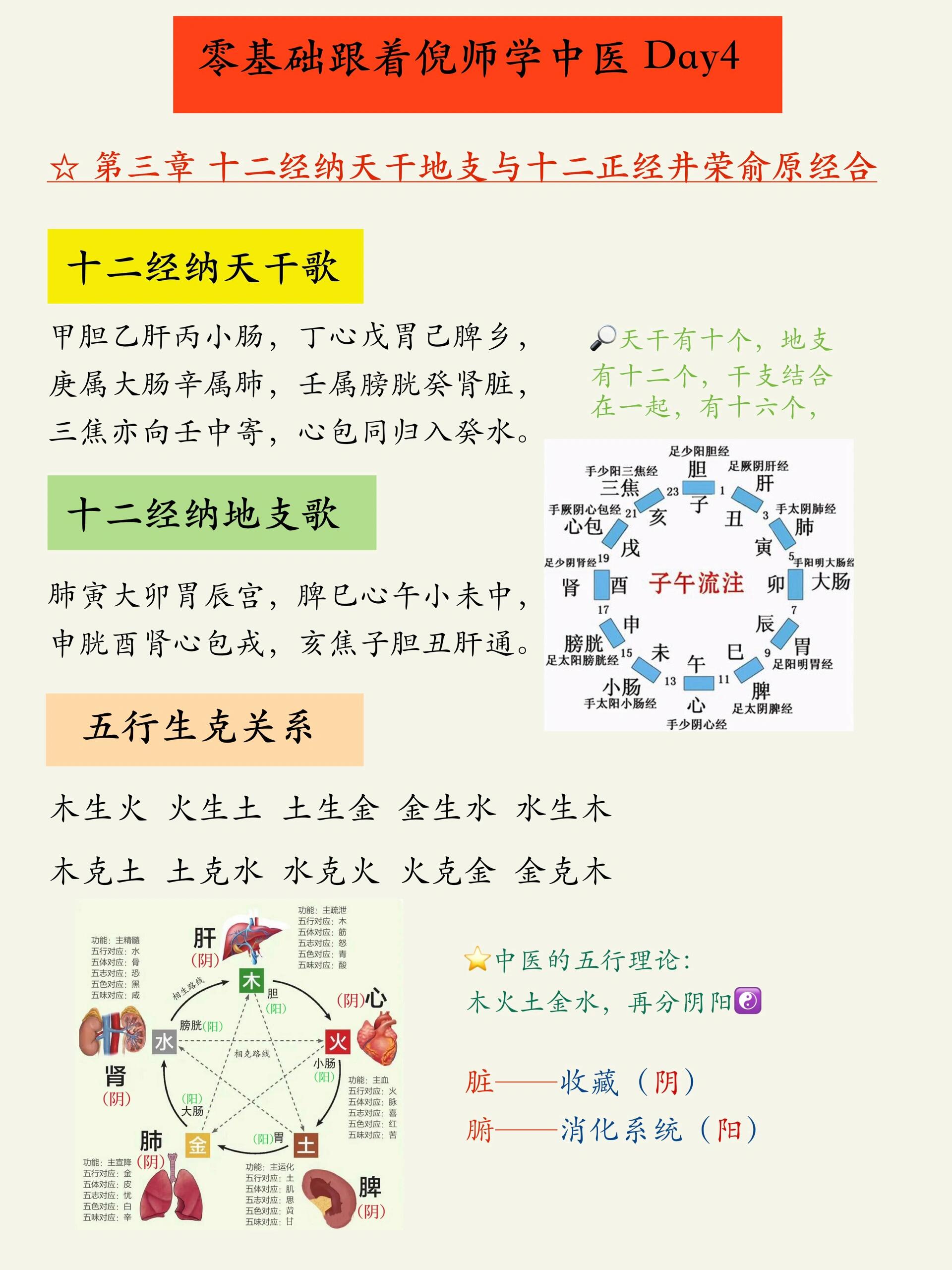 中医自学笔记