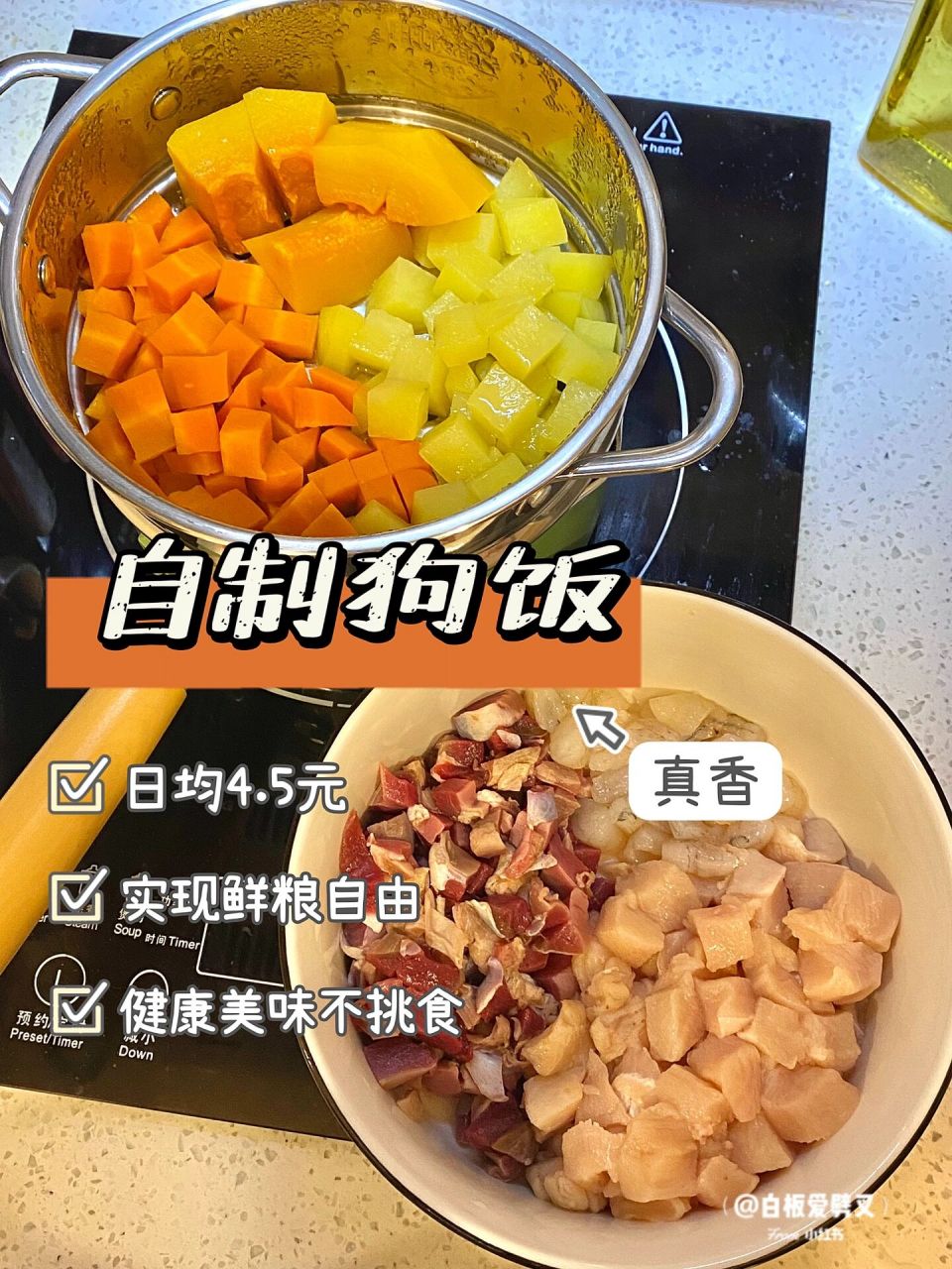 自制狗饭教程94健康美味告别狗狗挑食! 白板已经快一周岁啦!