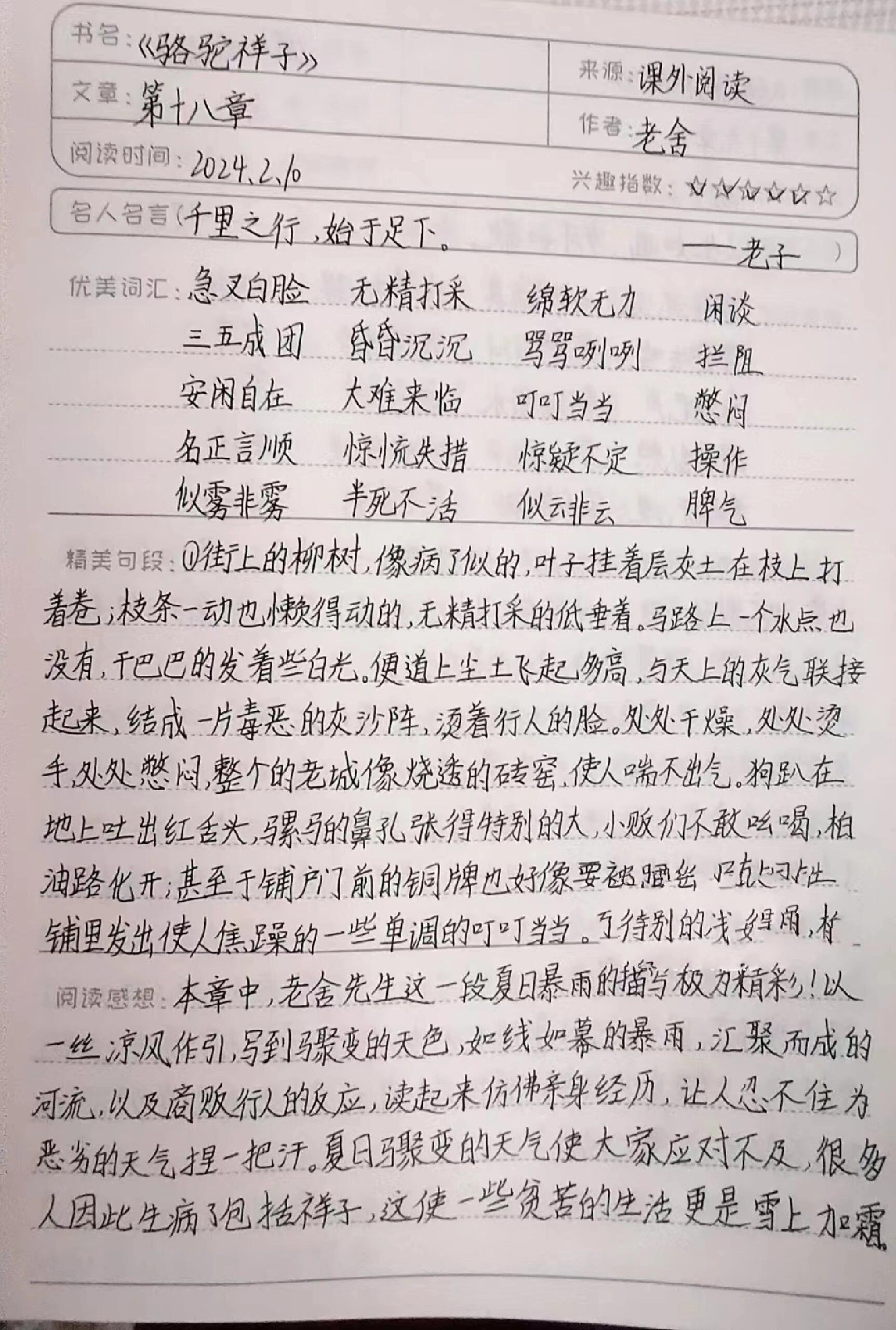 冬阳童年骆驼队笔记图片