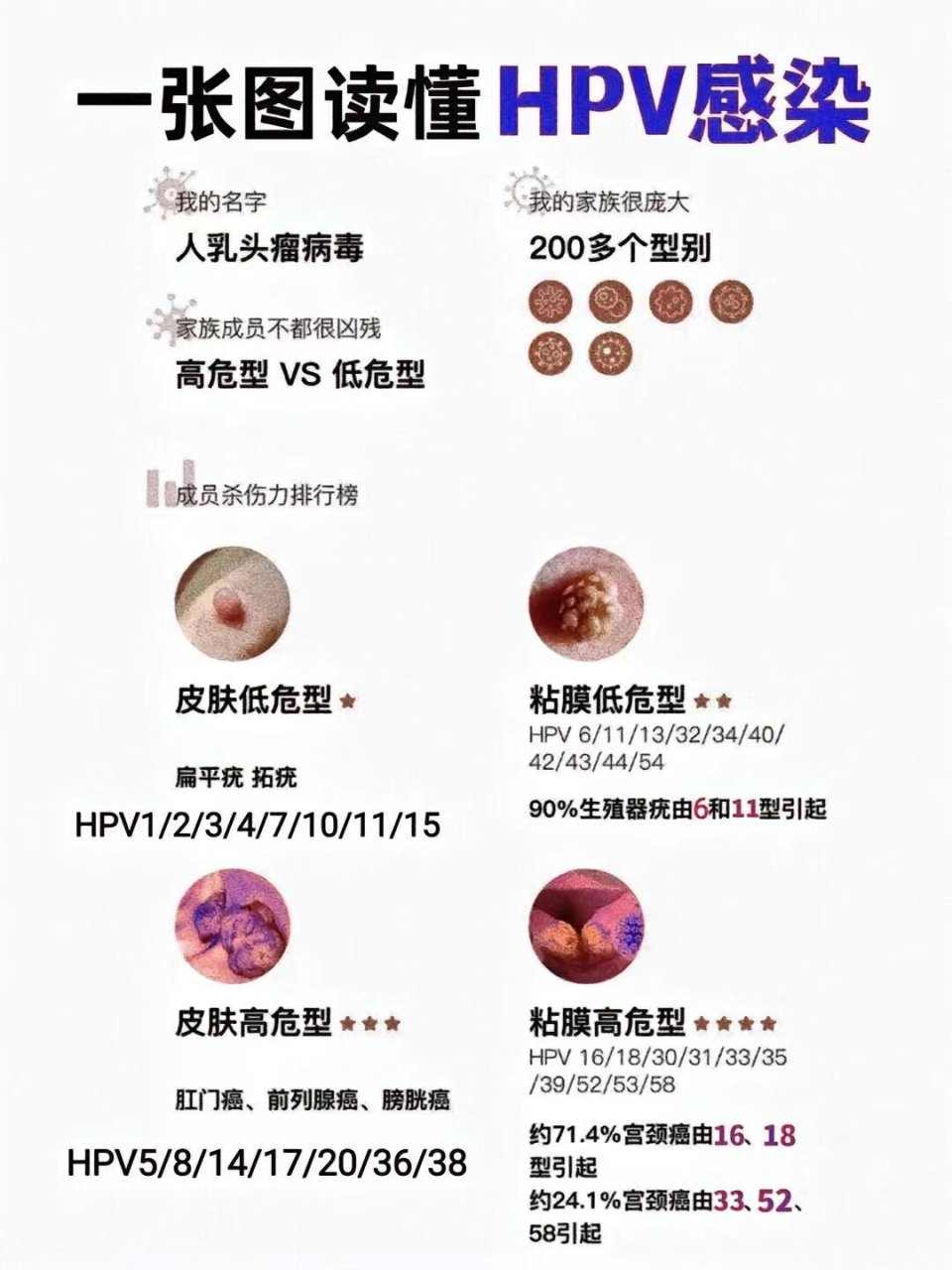 人乳头瘤病毒61型图片