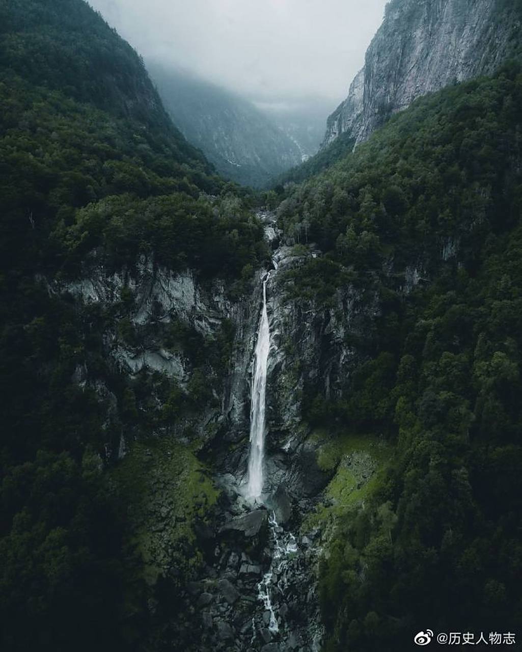 人不应该是插在花瓶里供人观赏的静物,而是蔓延在草原上随风起舞的