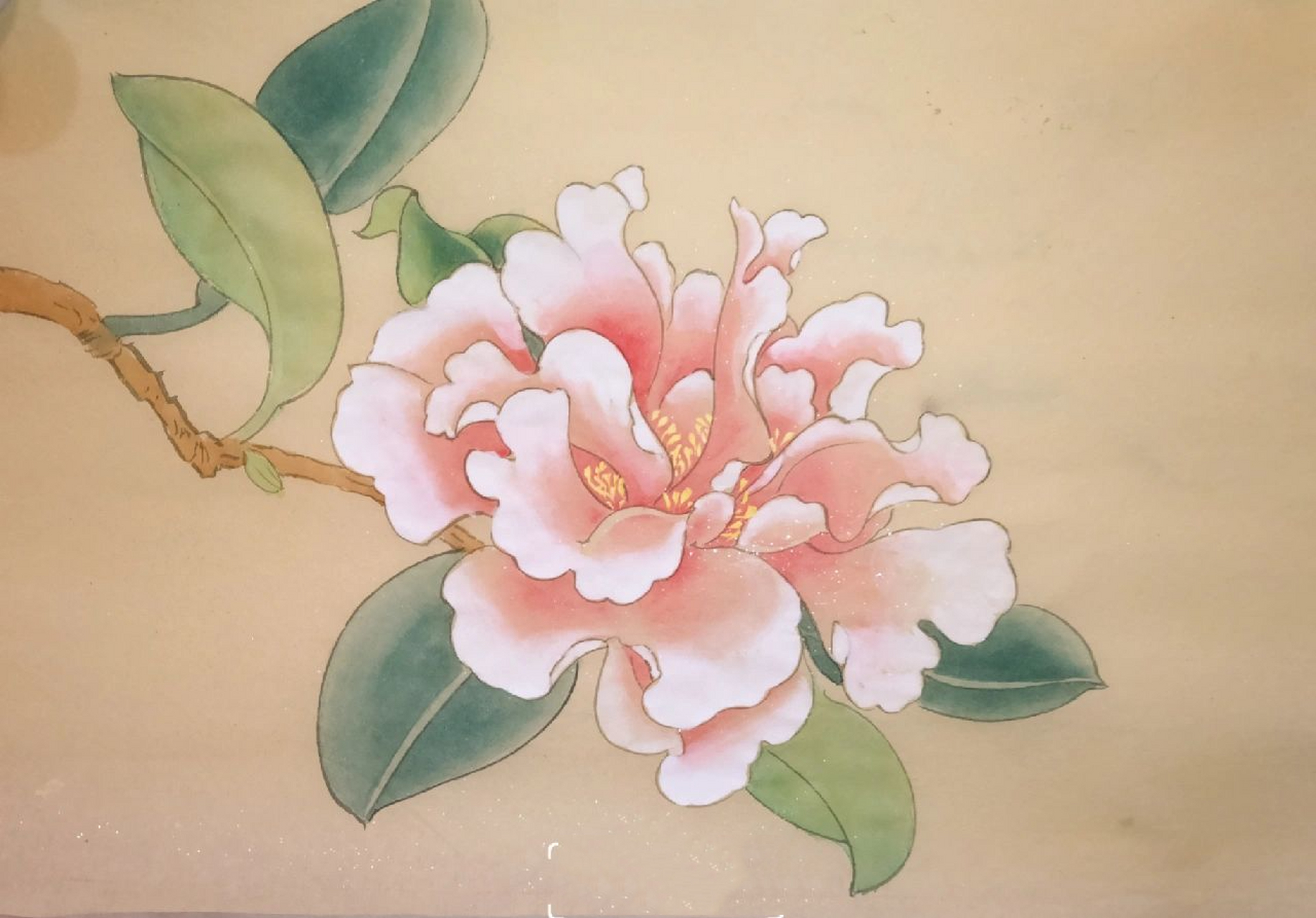 97国画/工笔花鸟入门教程/简单/有步骤 后面有线稿大家可以打印a4