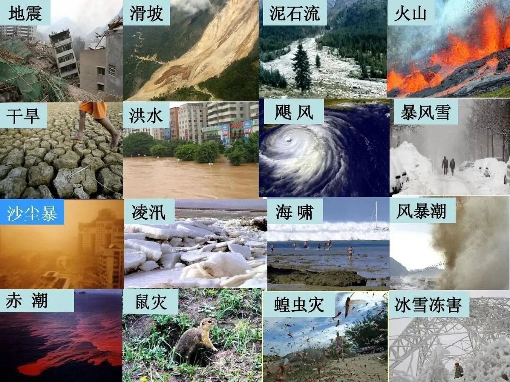【地理】高考地理中的自然灾害 1