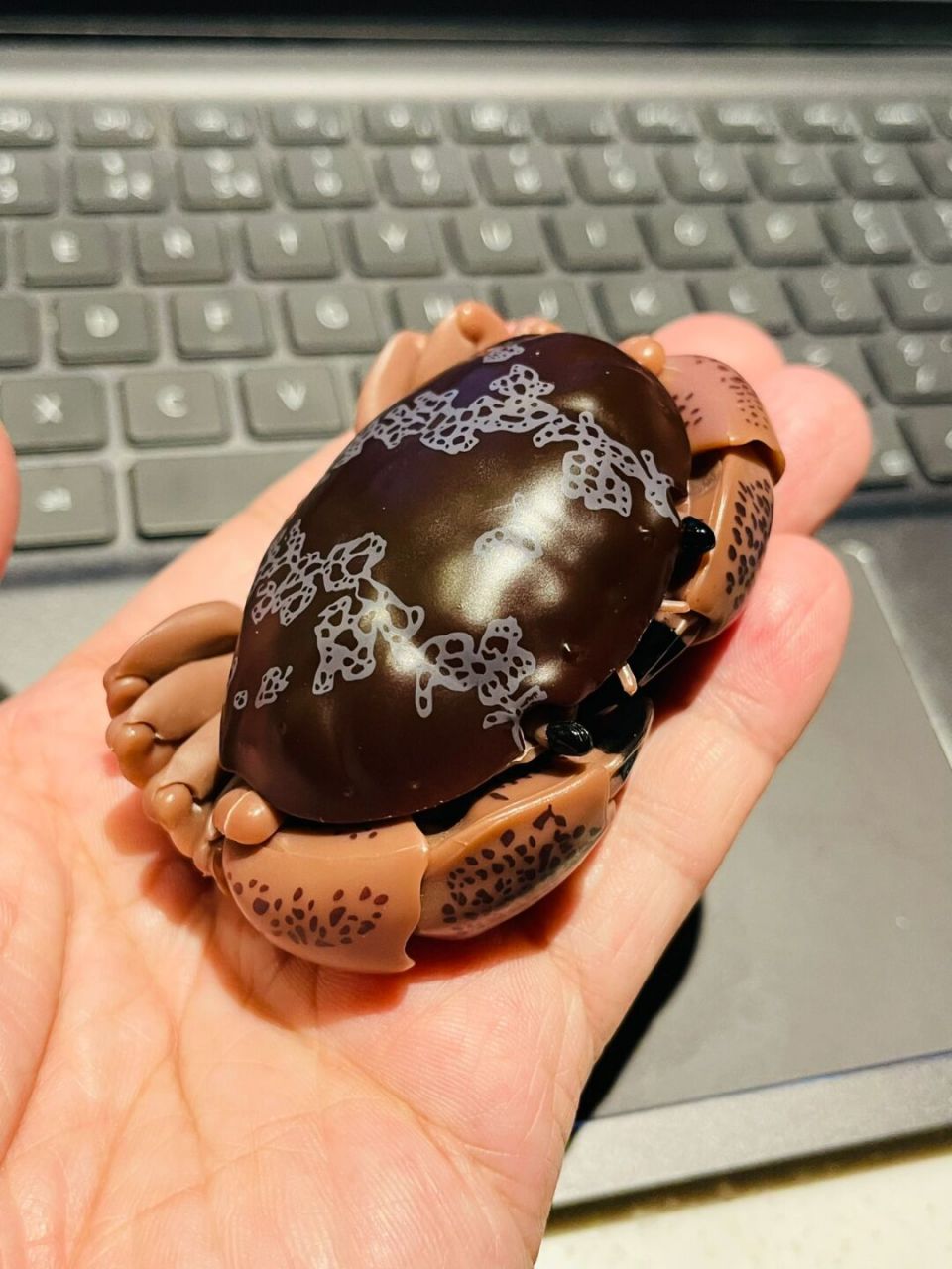 万代螃蟹扭蛋之花纹爱洁蟹 #扭蛋# #玩具# #螃蟹# 万代螃蟹系列中的