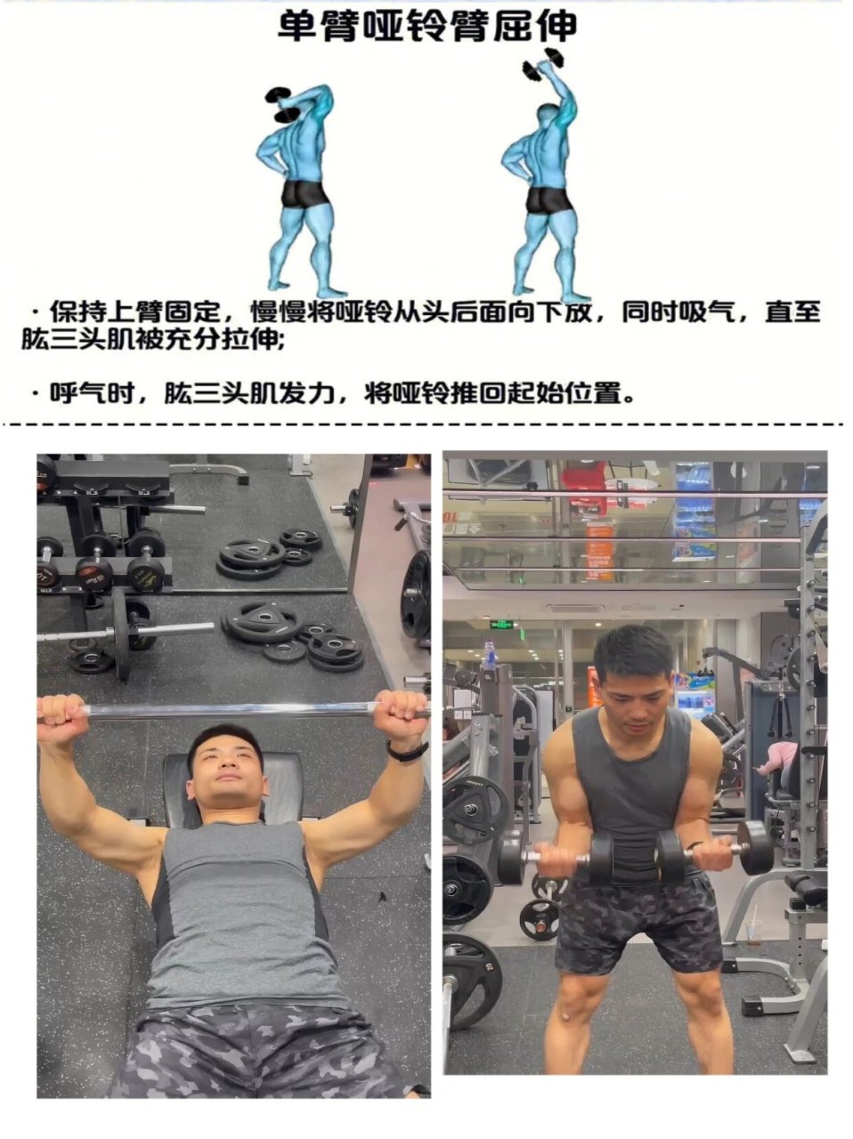 肱三头训练/新手小白6个动作打造黄金三头肌 一个人的三头肌要怎么