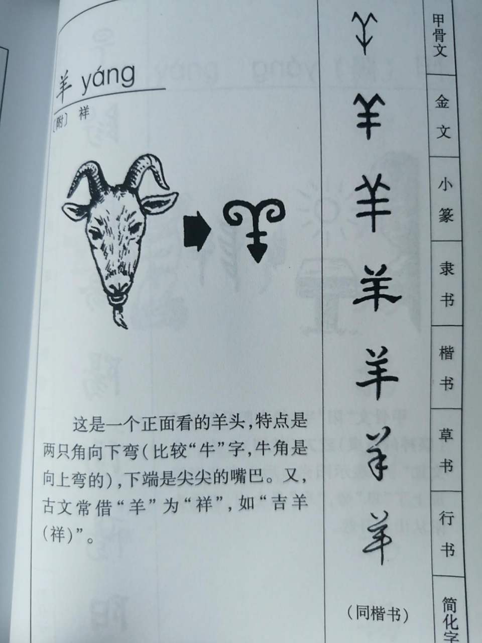 说文解字 每日一字 羊 除了鹿之外,估计羊是古人最喜欢的动物之一了.