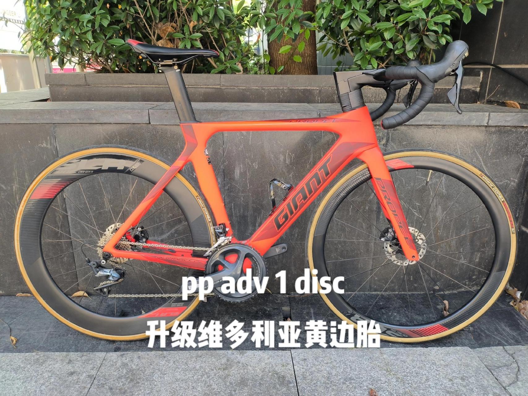 捷安特pp adv1 disc图片