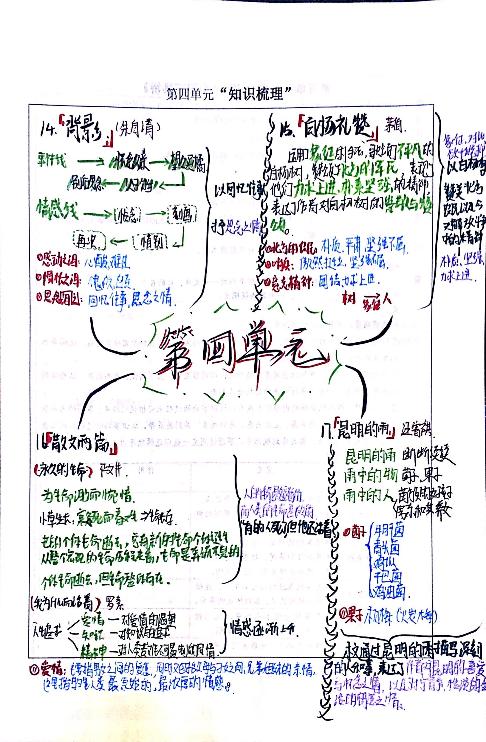 八上语文部编版第四单元思维导图