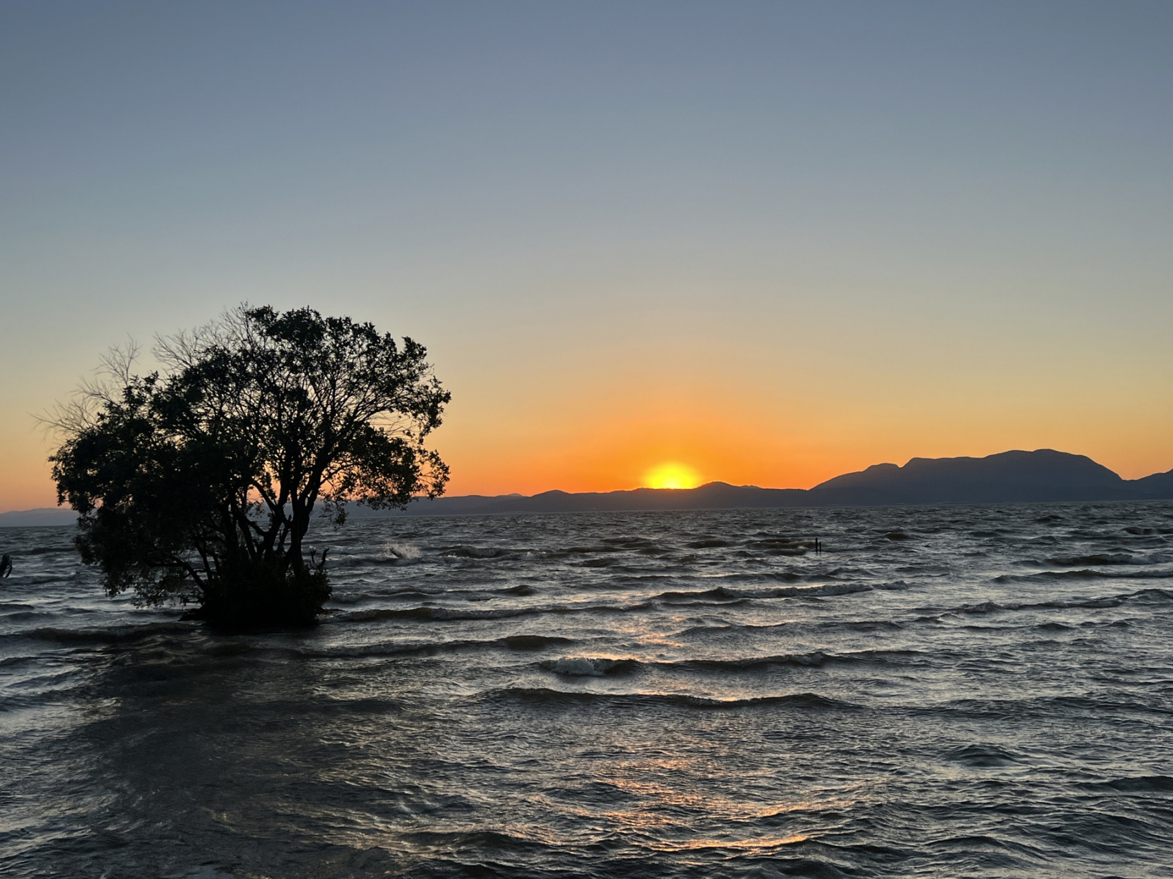 真的绝美 99王官湿地公园 游玩指南:可以做地铁4号线到达金桂街站