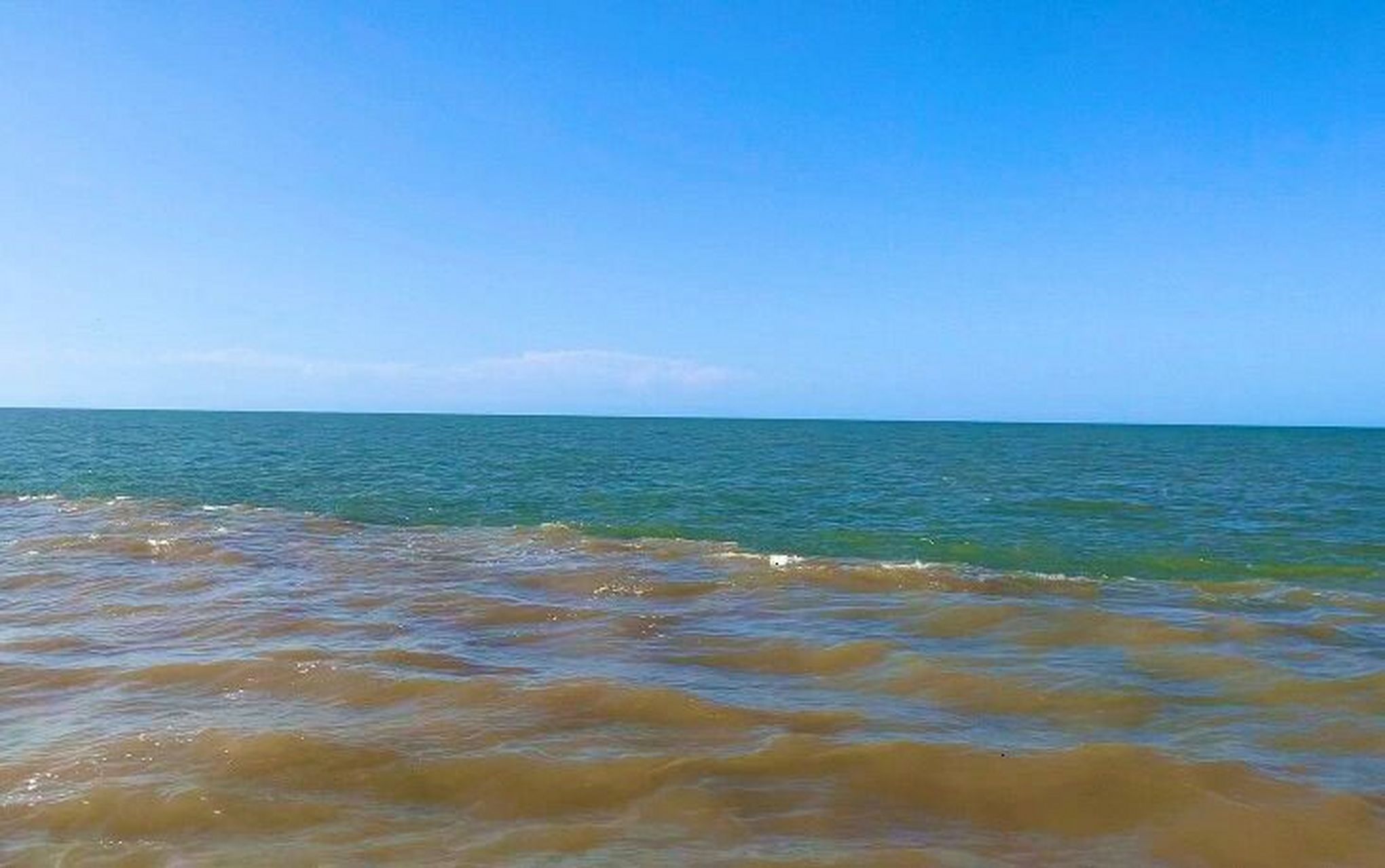 周末去了东营黄河口生态旅游区,也就是大家说的黄河入海口,很幸运08