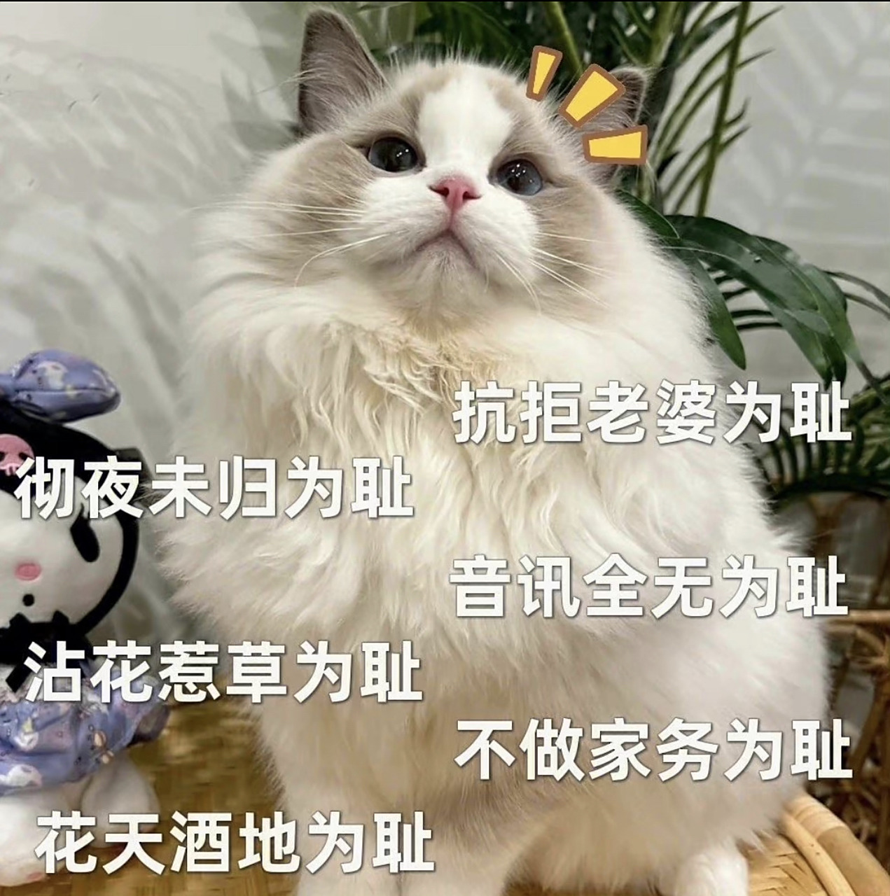 表情包|爱老婆系列合集98 宠老婆!爱老婆! 收好收好!