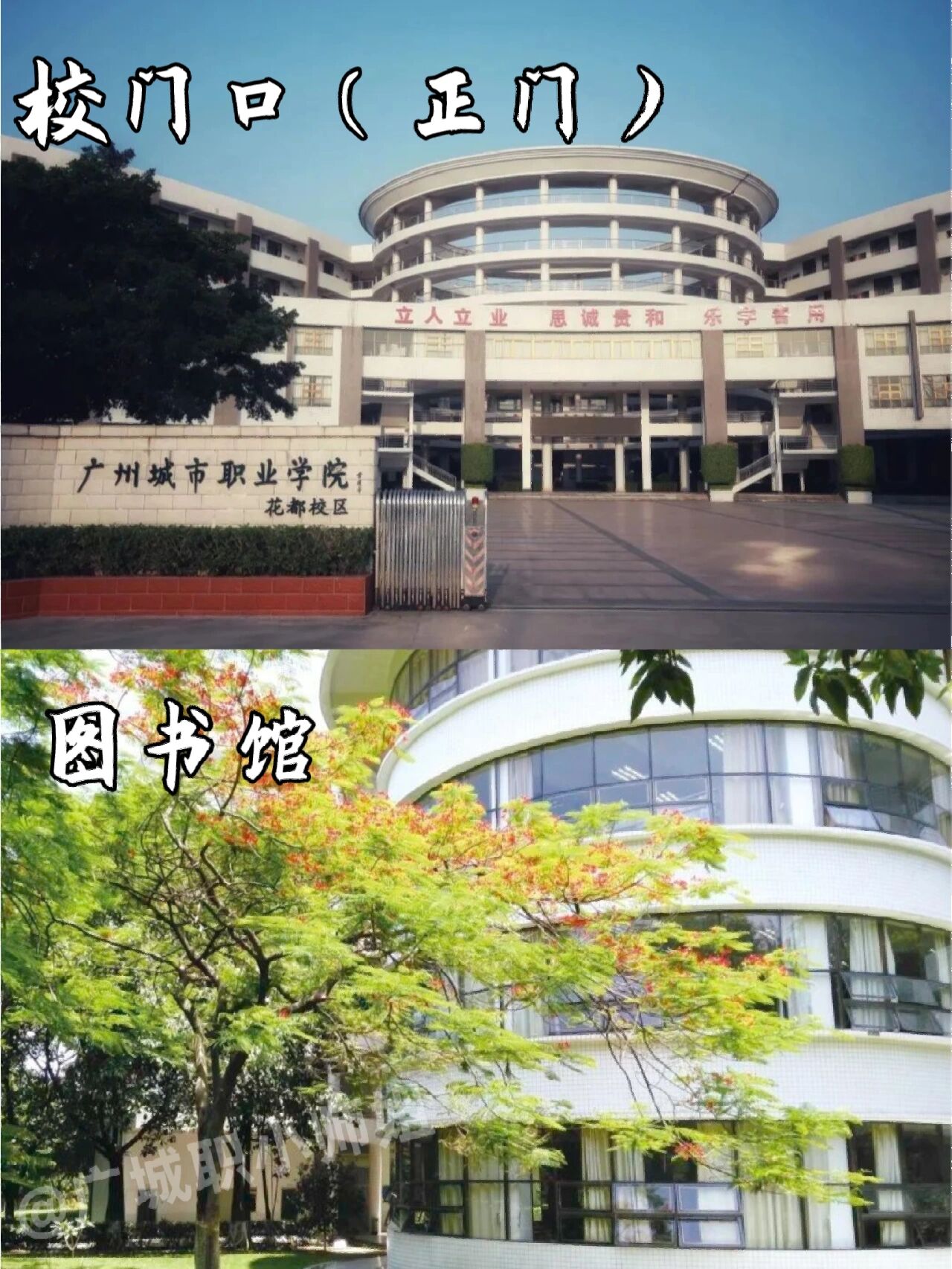 五张图介绍广州城市职业学院花都校区97 昨天带大家云游了广州城市